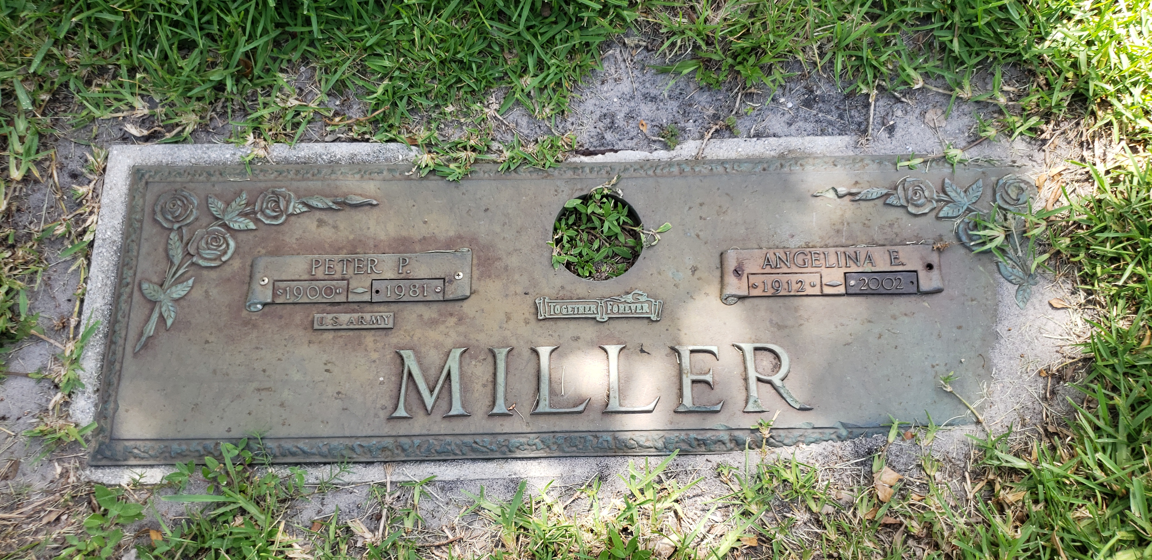Peter P Miller