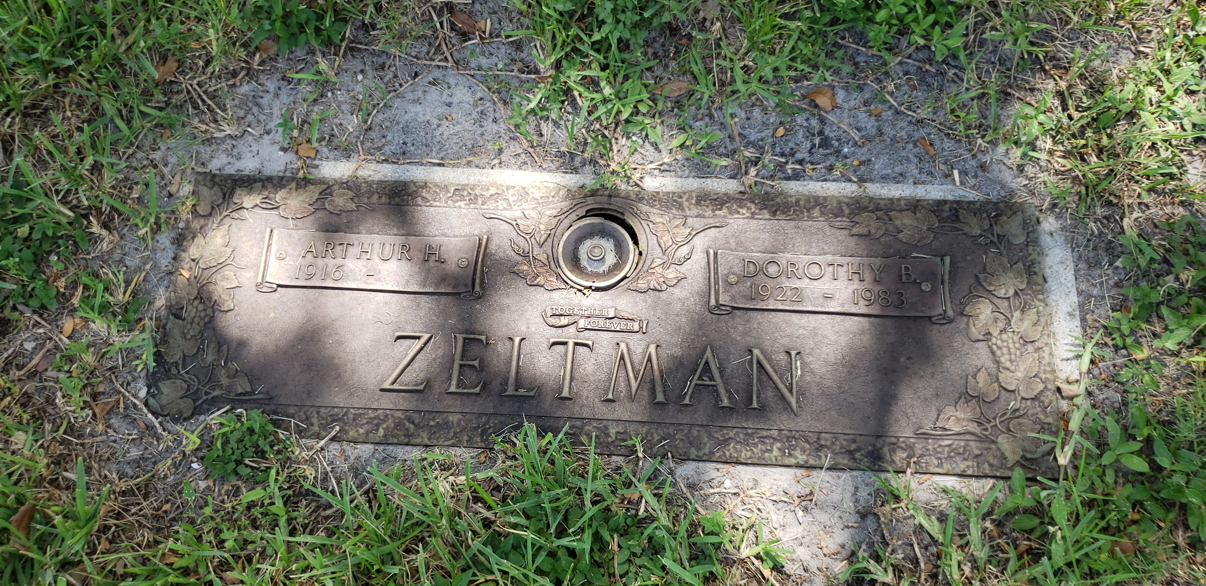 Arthur H Zeltman