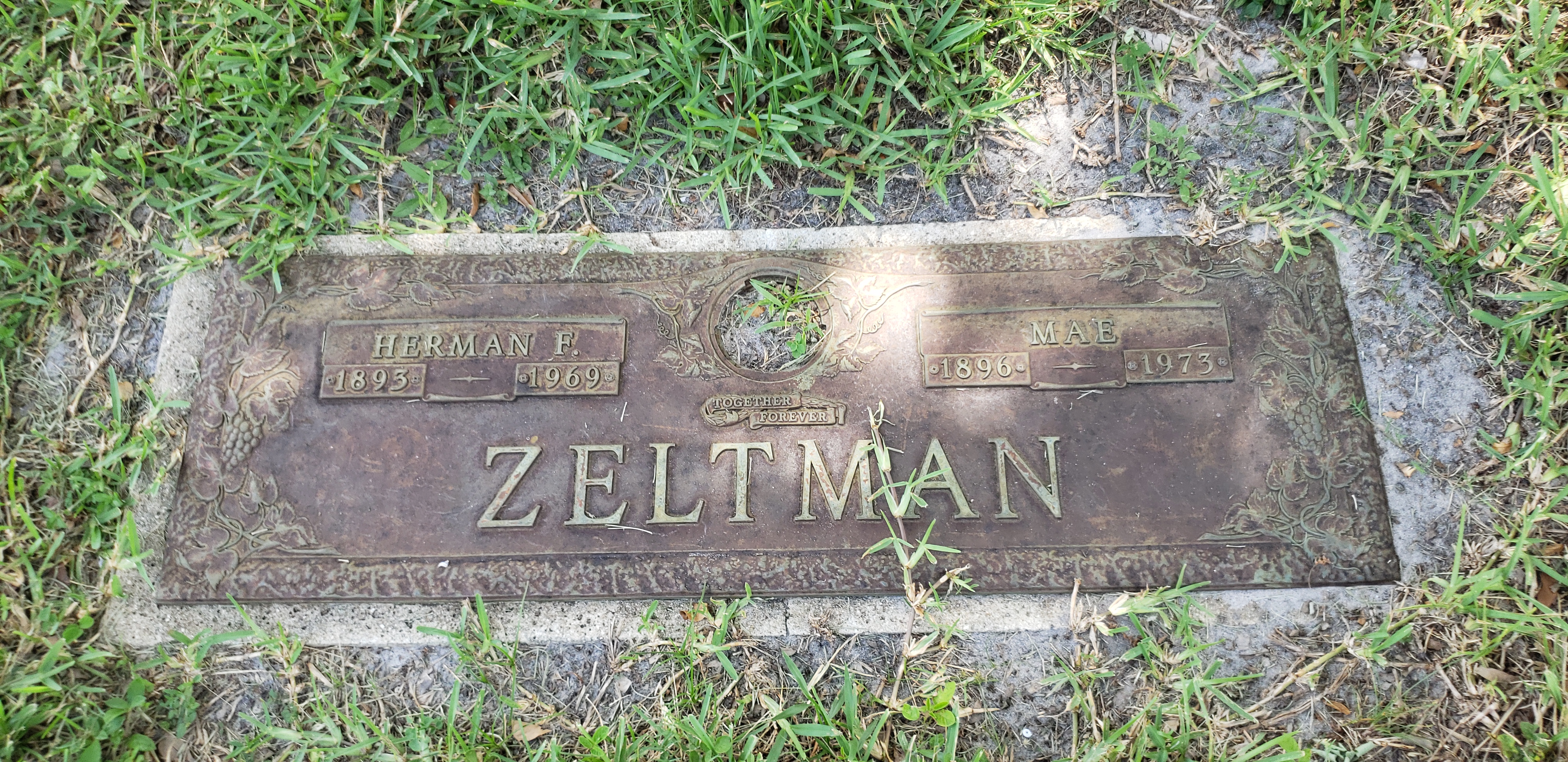 Herman F Zeltman