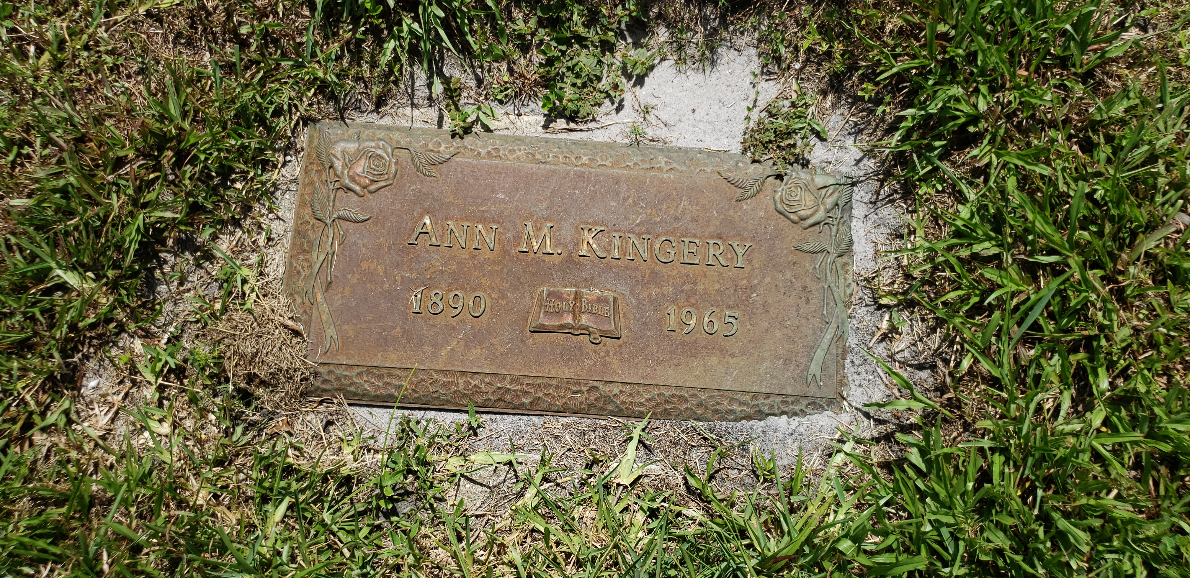 Ann M Kingery