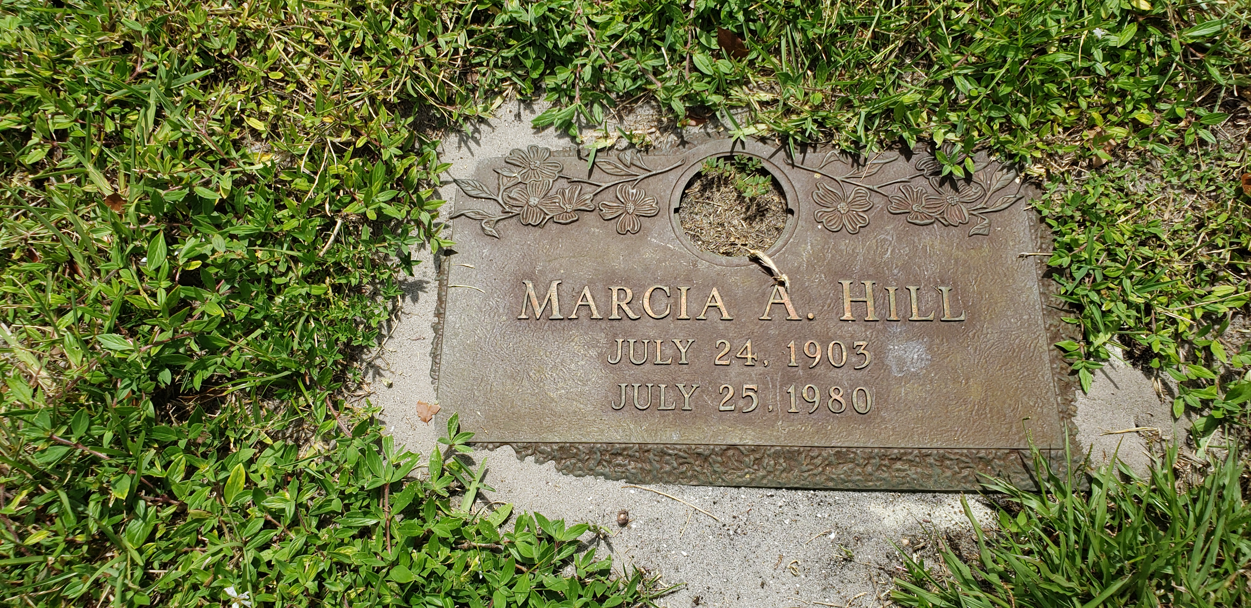 Marcia A Hill