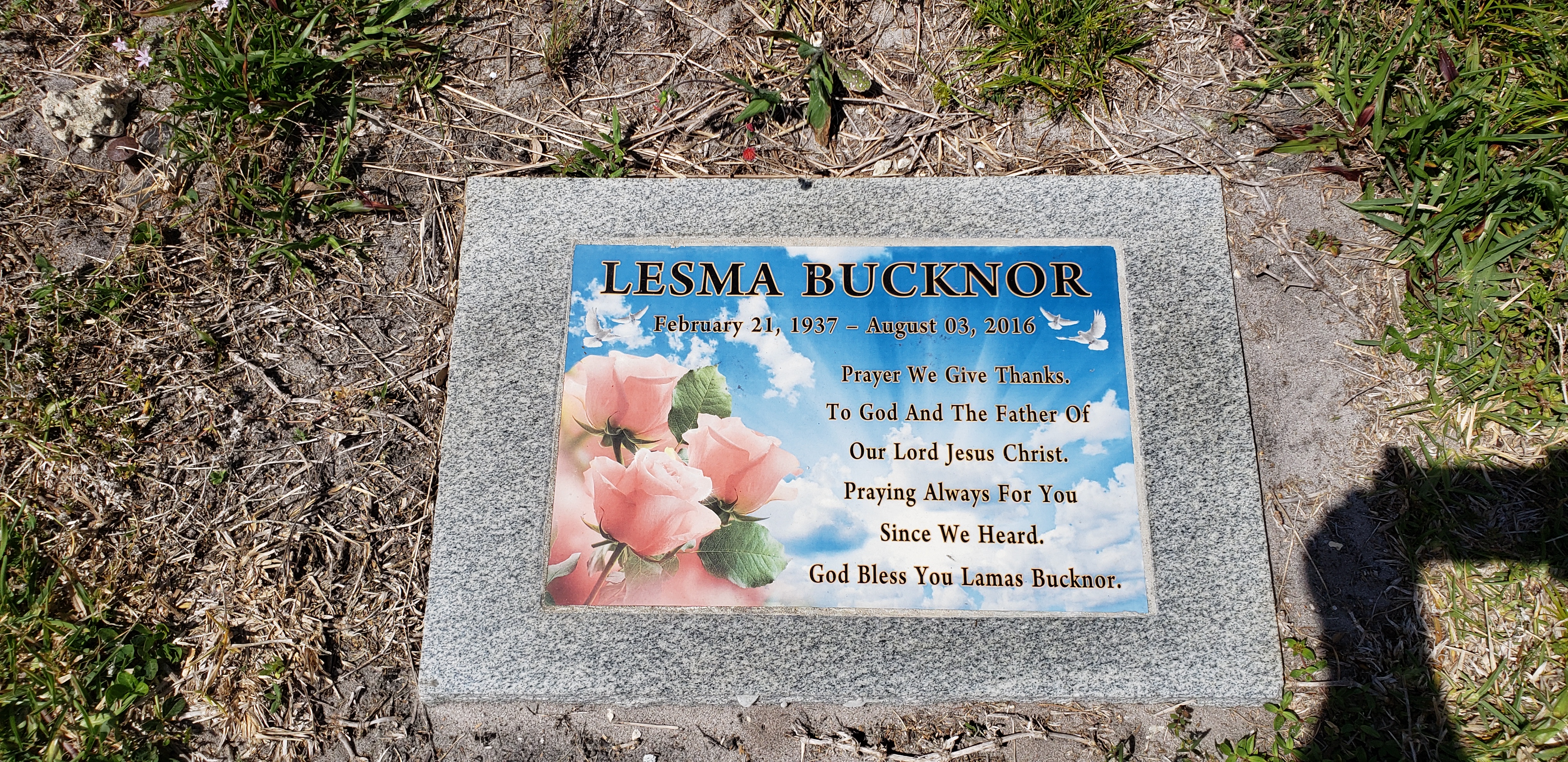 Lesma Bucknor