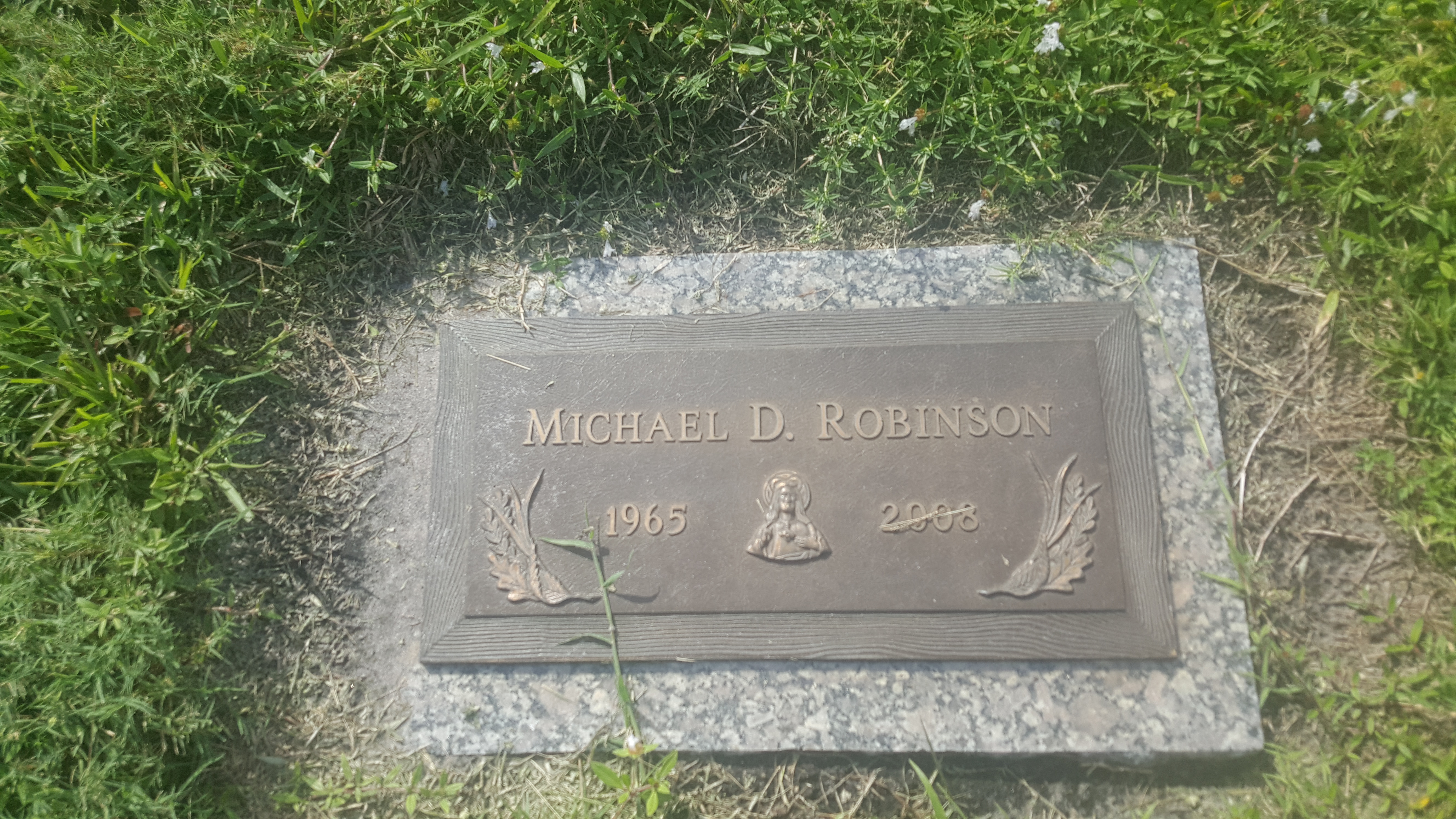 Michael D Robinson