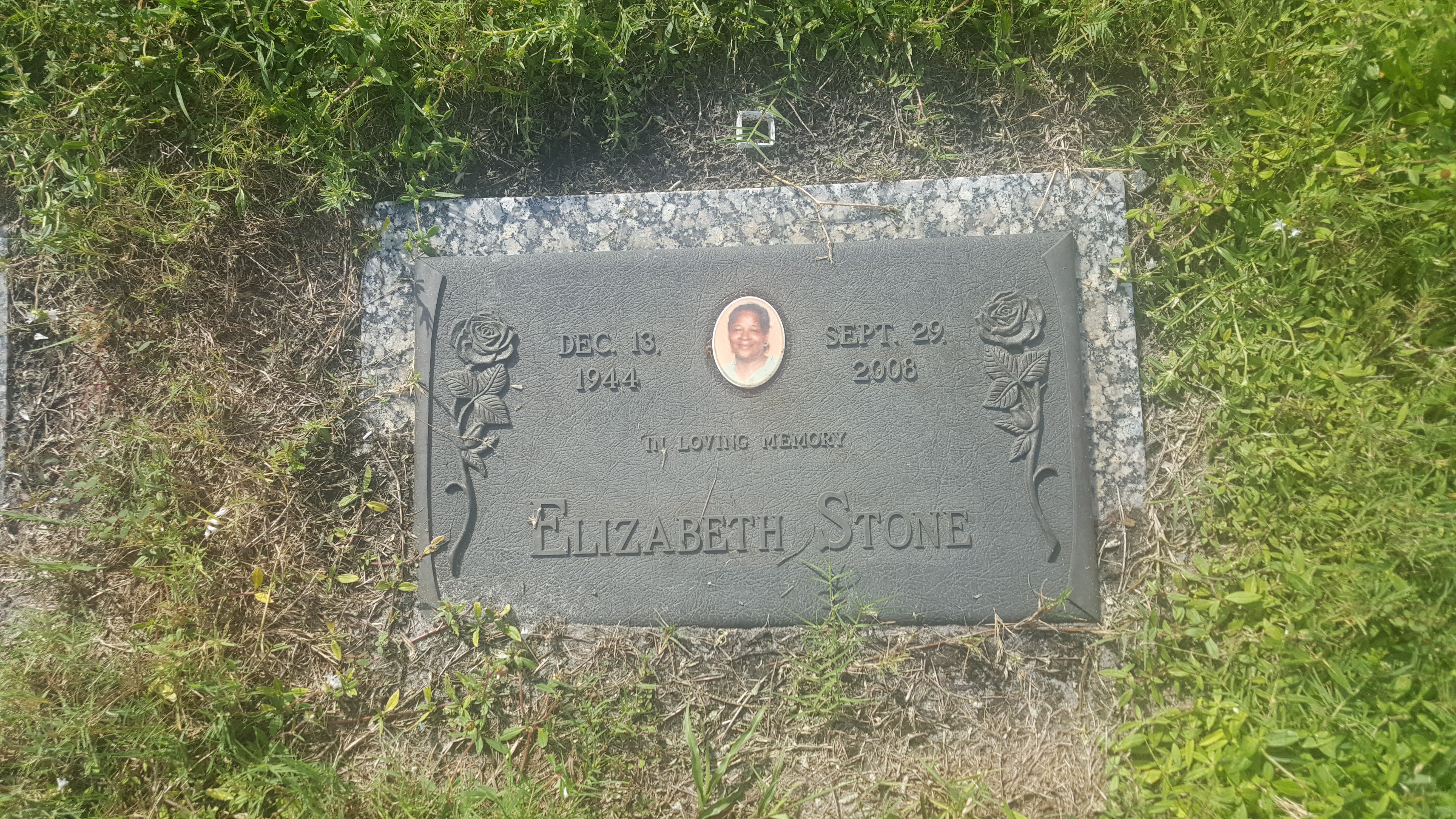 Elizabeth Stone