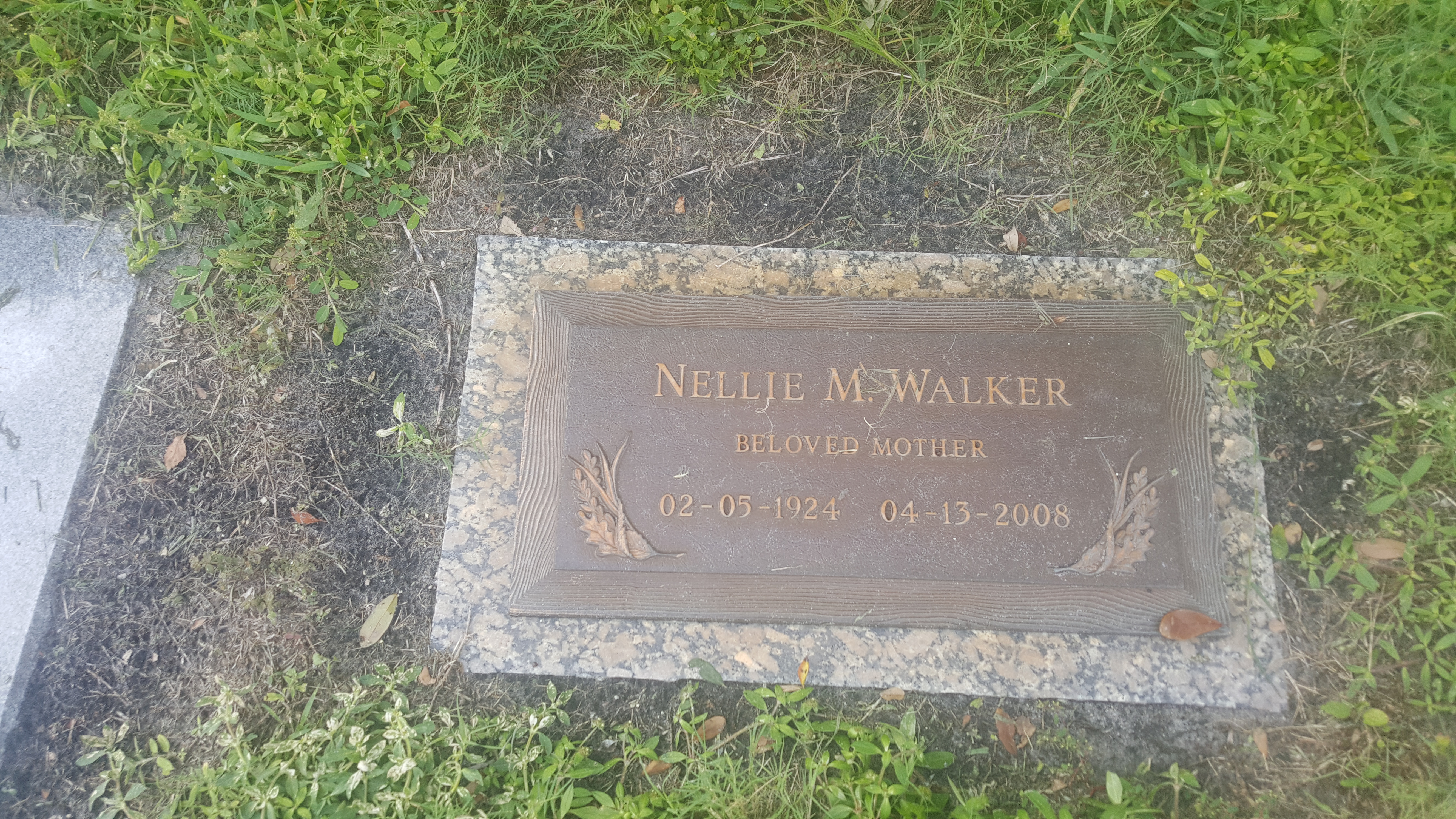 Nellie M Walker