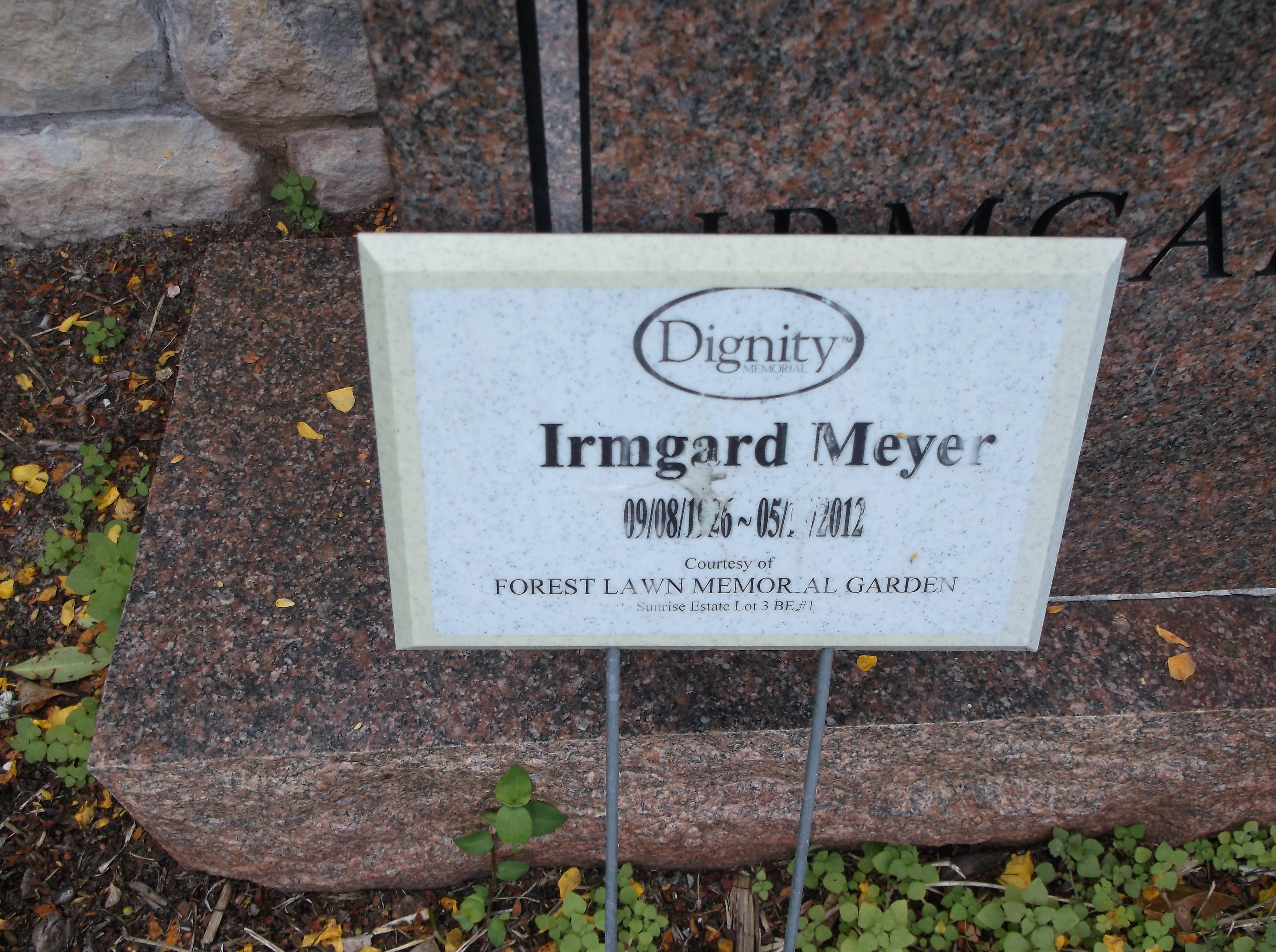 Irmgard A Meyer