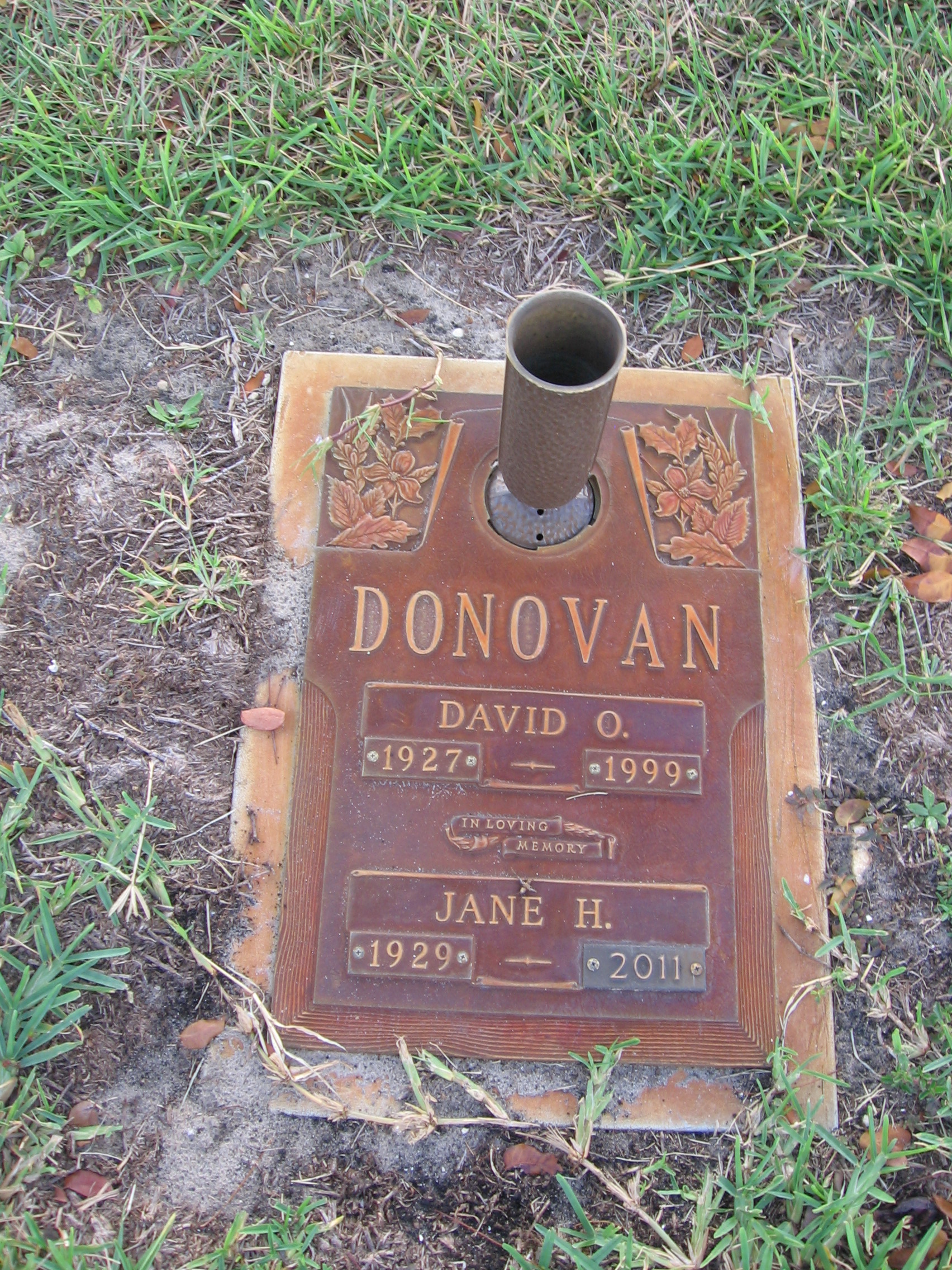 Jane H Donovan