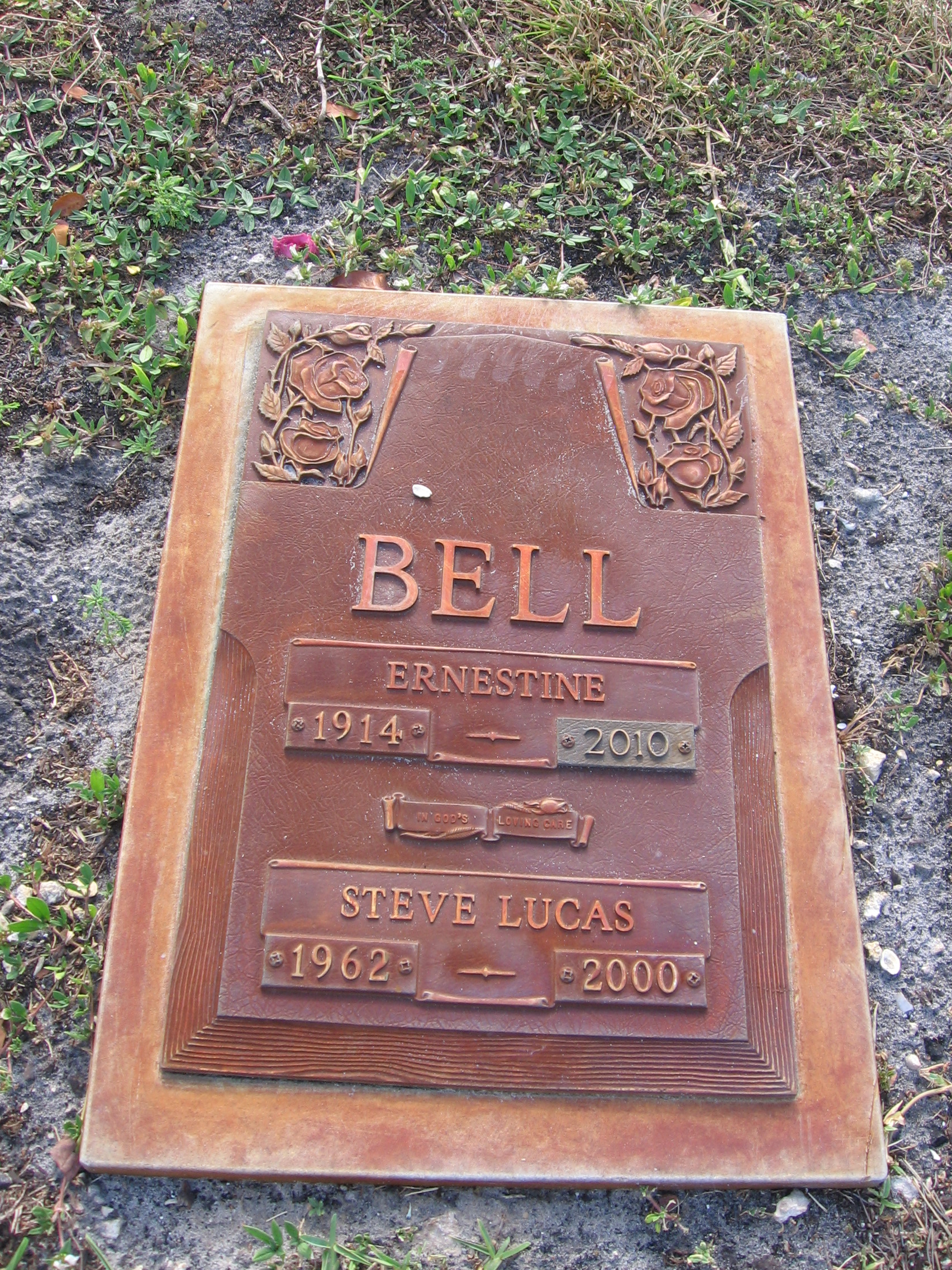 Steve Lucas Bell