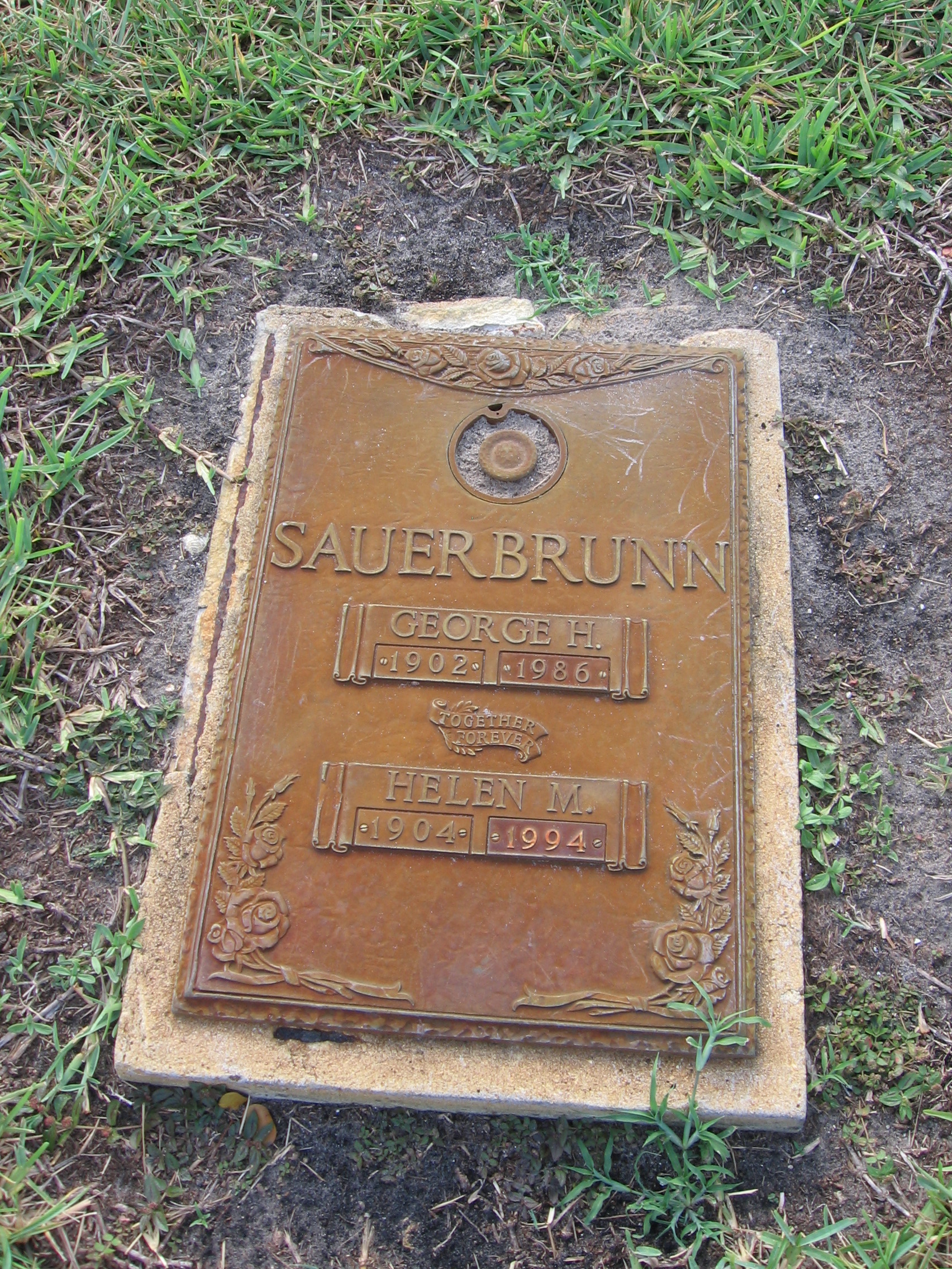 Helen M Sauerbrunn