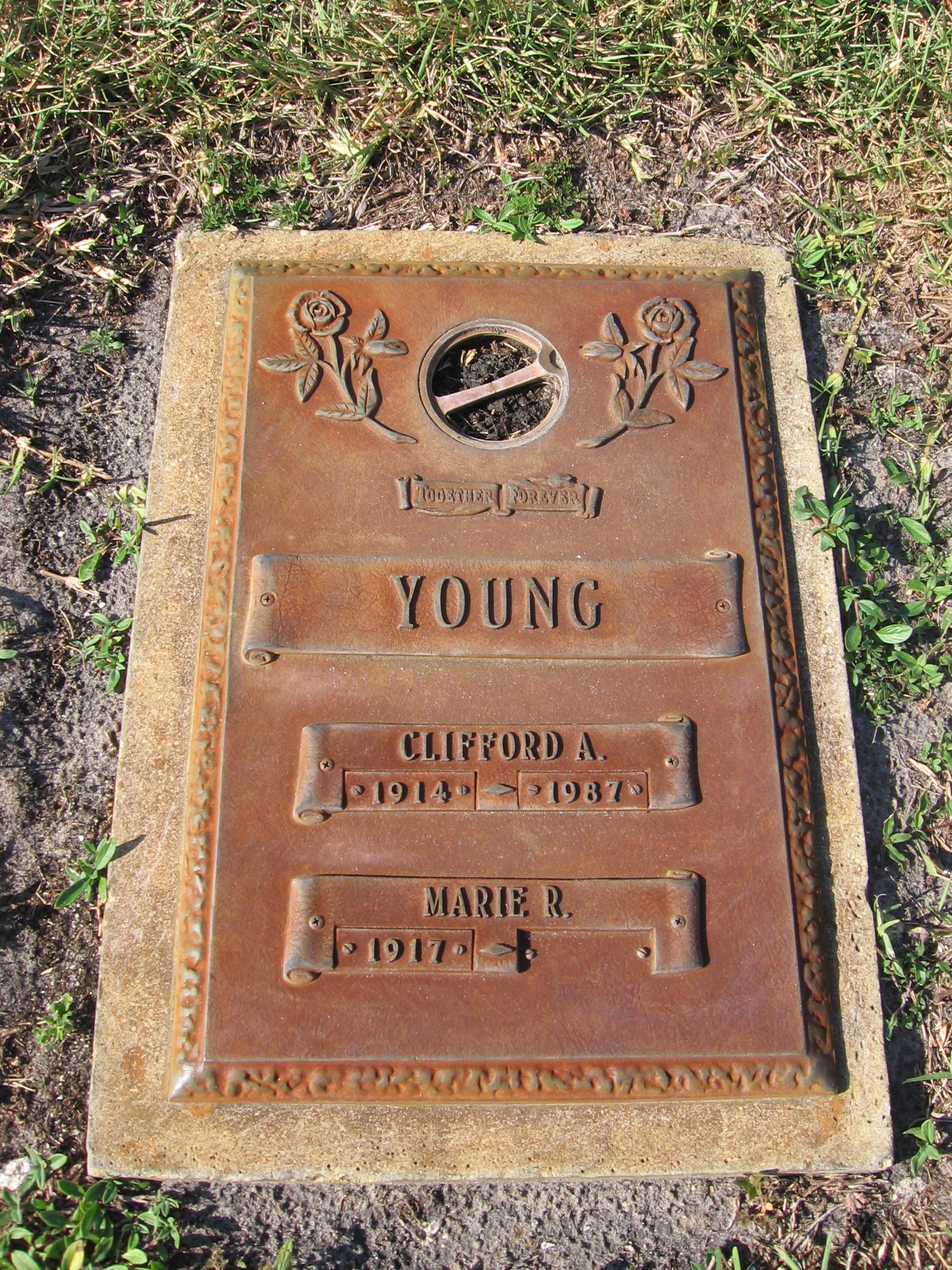 Marie R Young