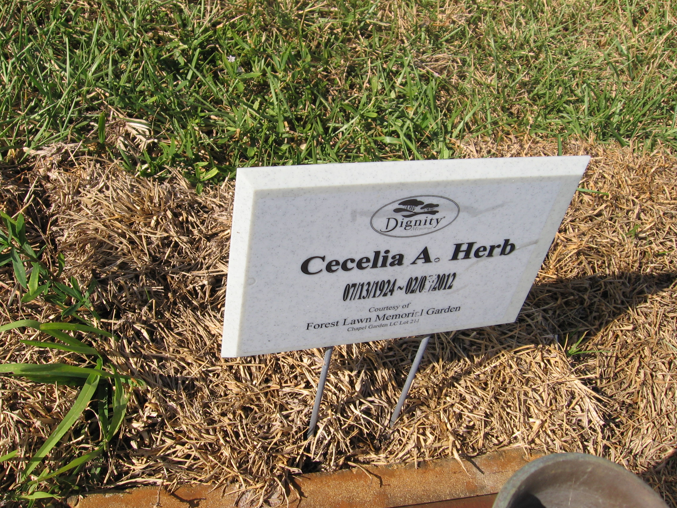 Cecelia A Herb