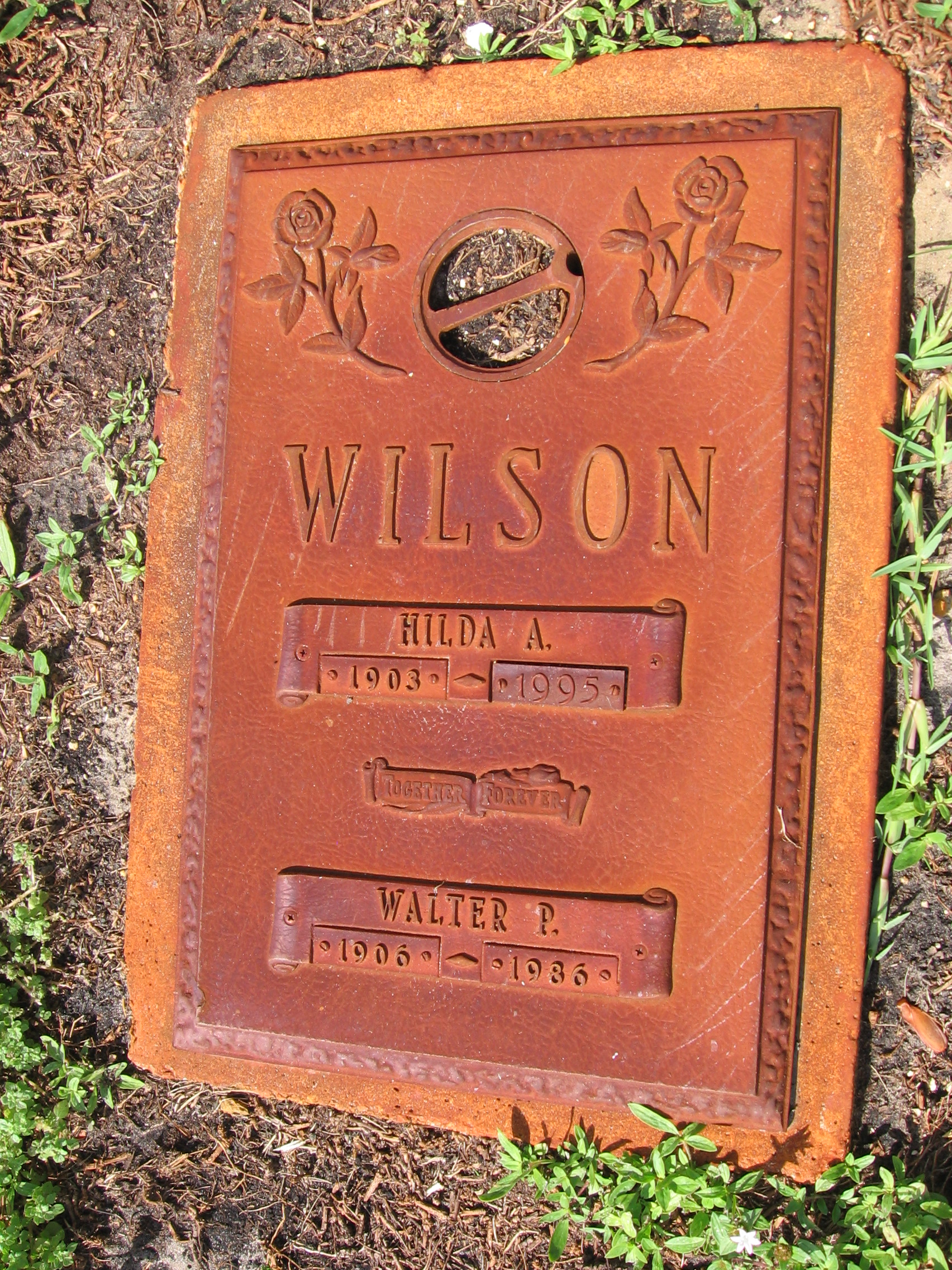 Walter P Wilson