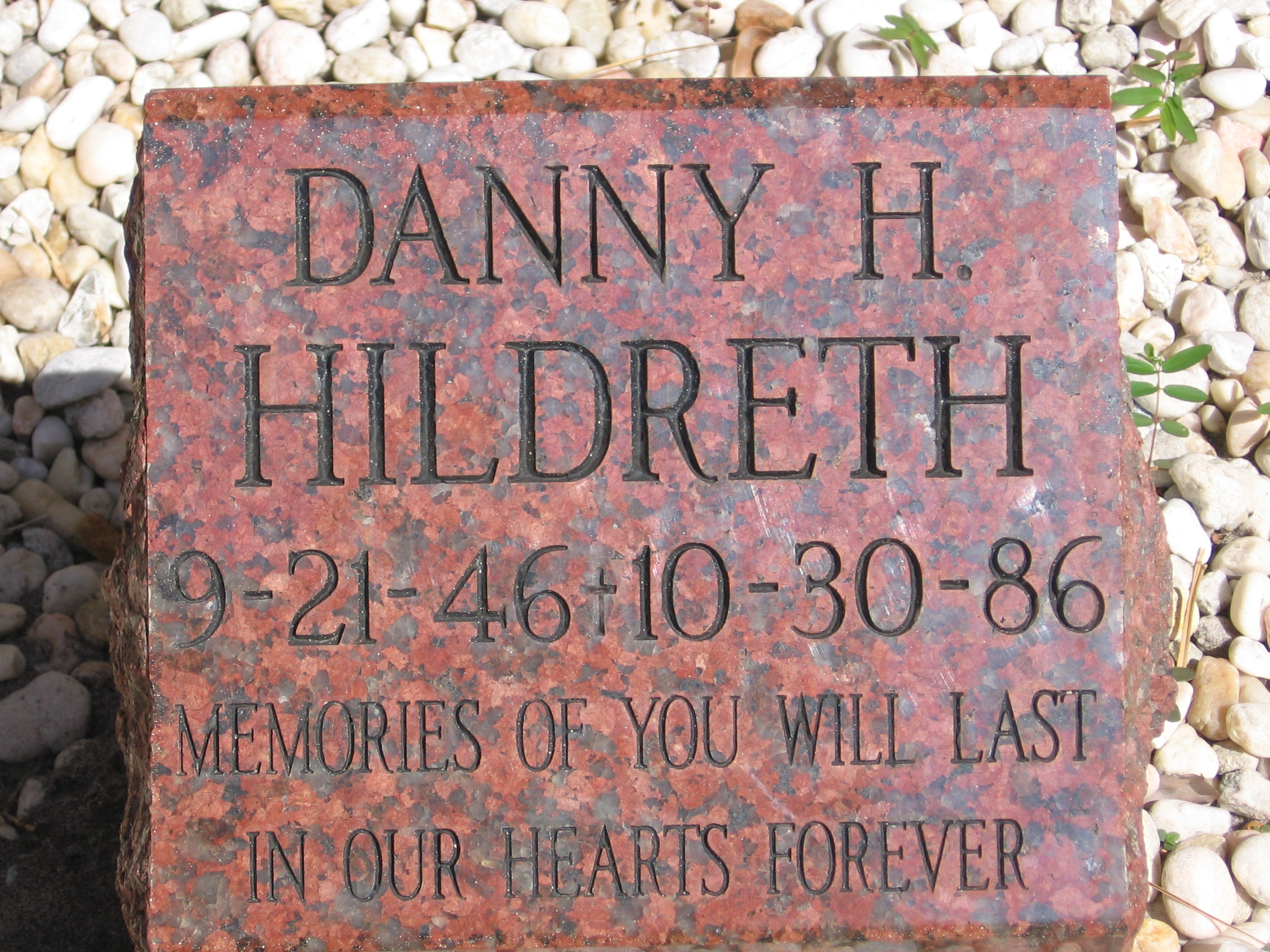 Danny H Hildreth