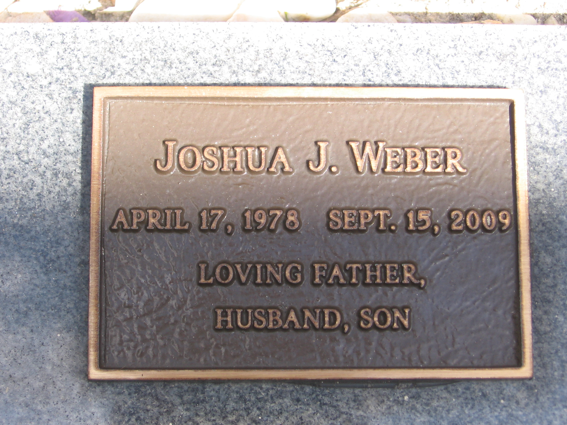 Joshua J Weber
