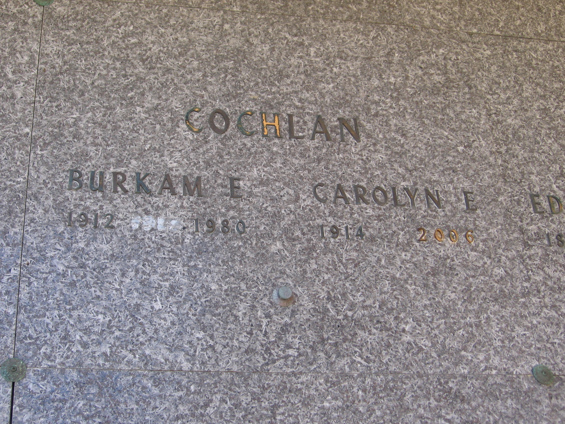 Carolyn E Cochlan