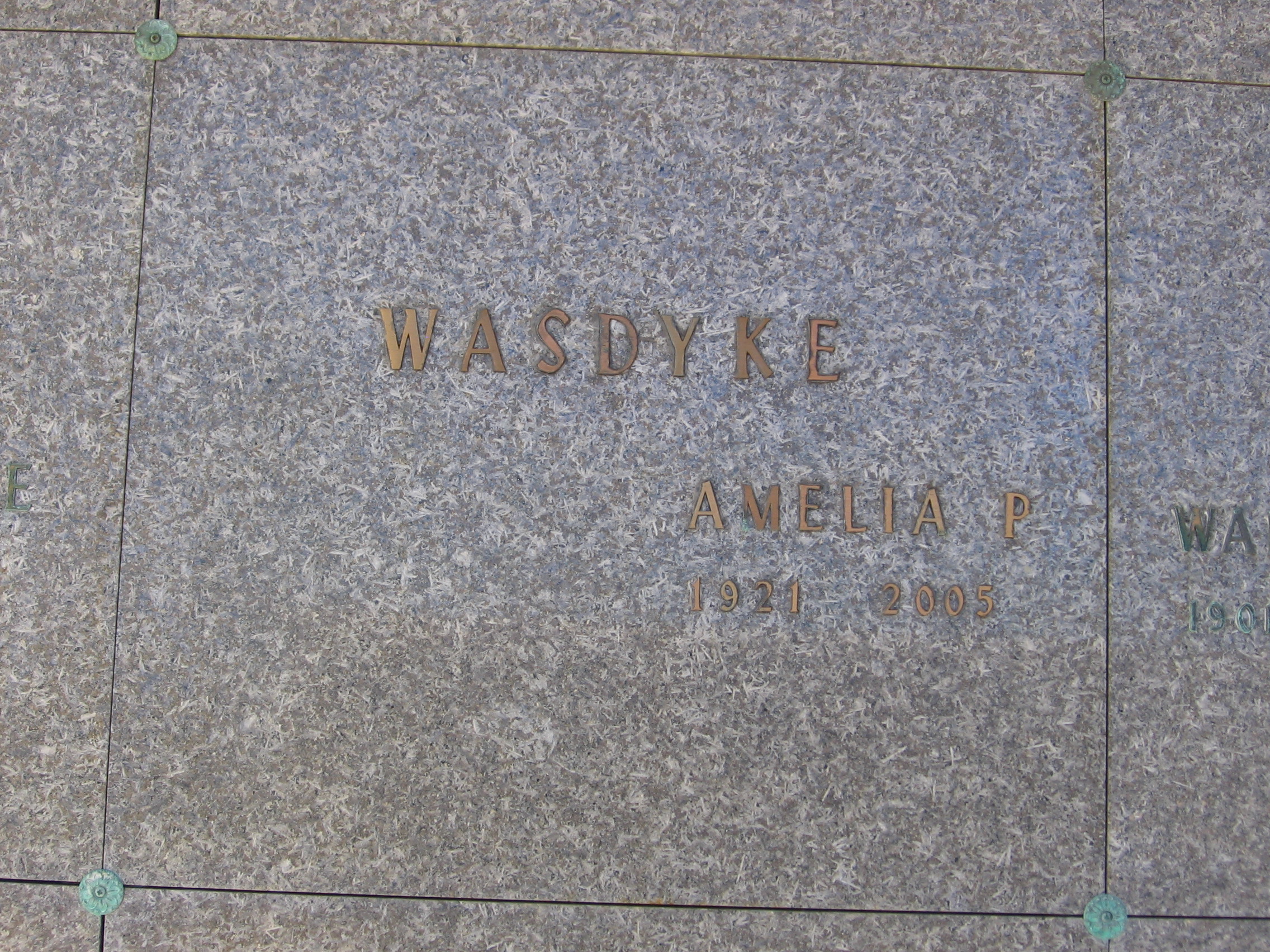 Amelia P Wasdyke