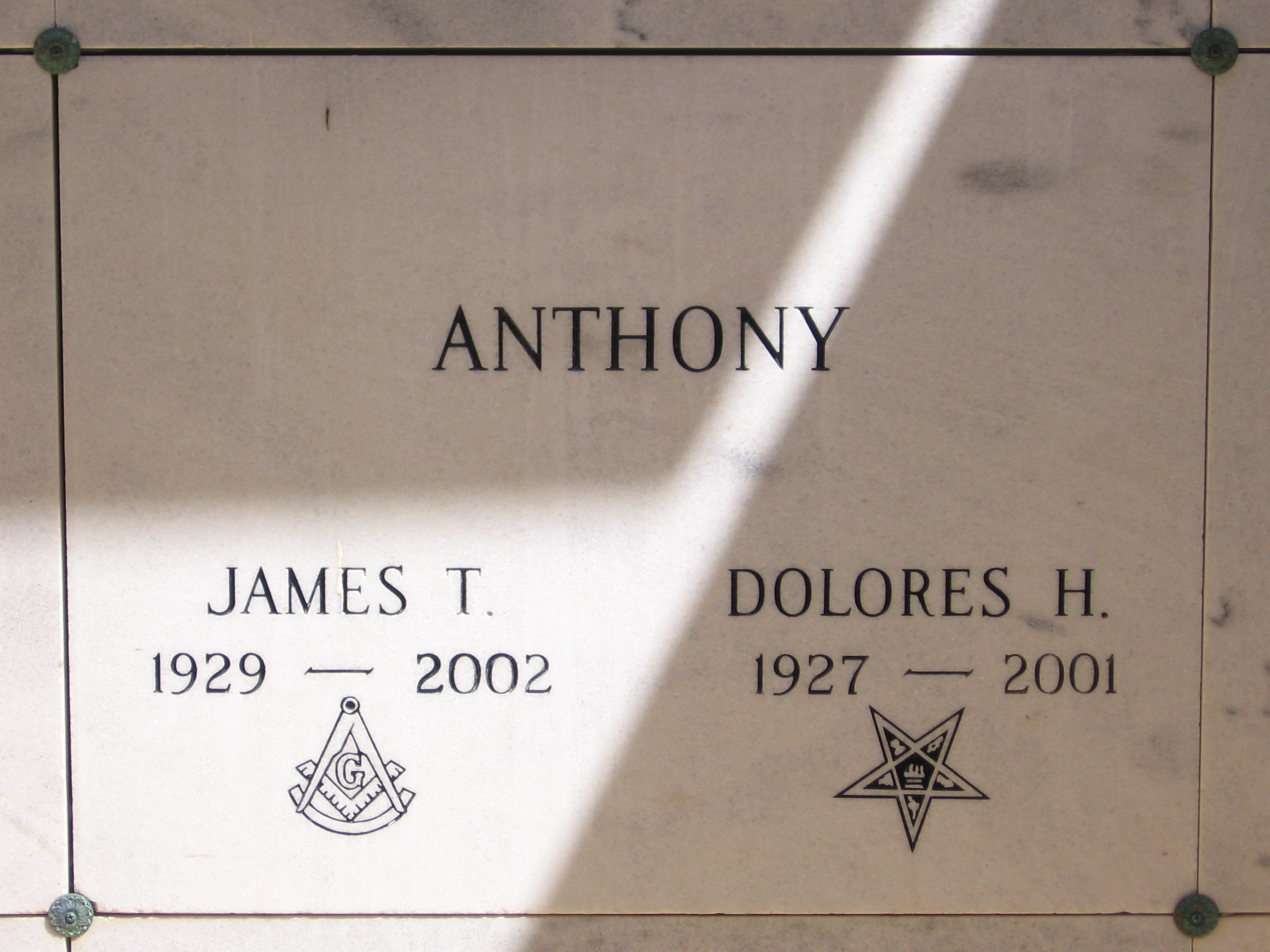 Dolores H Anthony