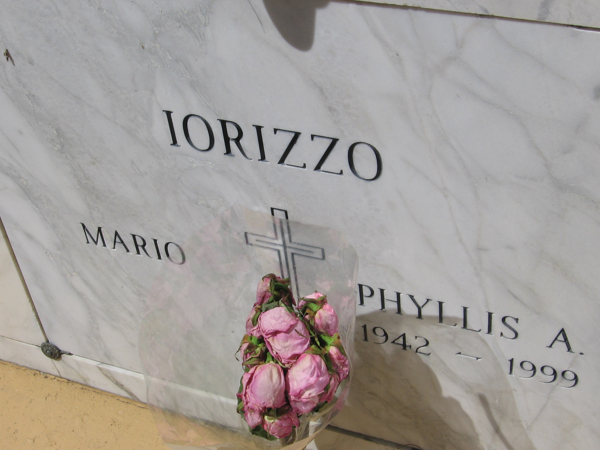 Phyllis A Iorizzo