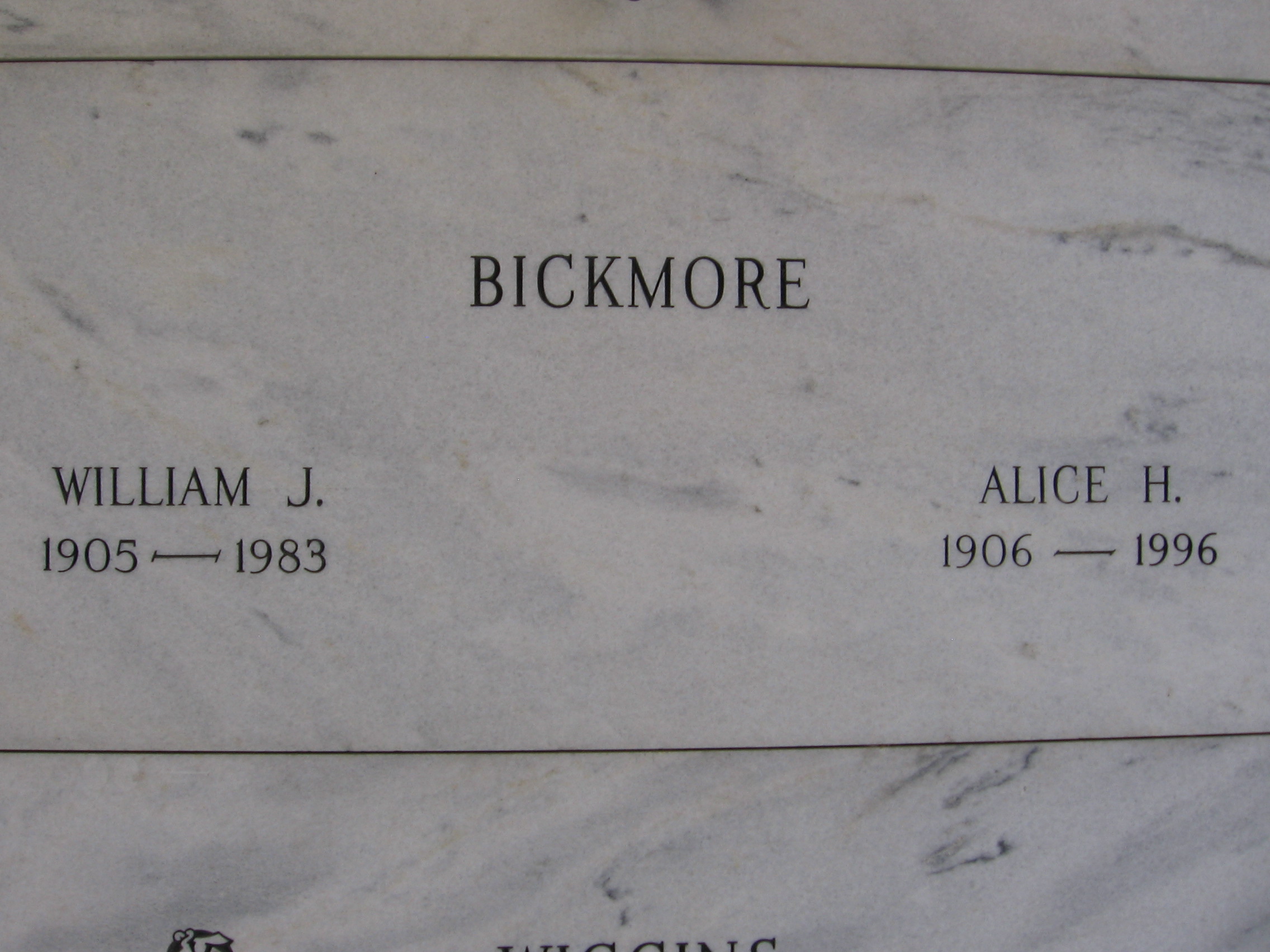 William J Bickmore