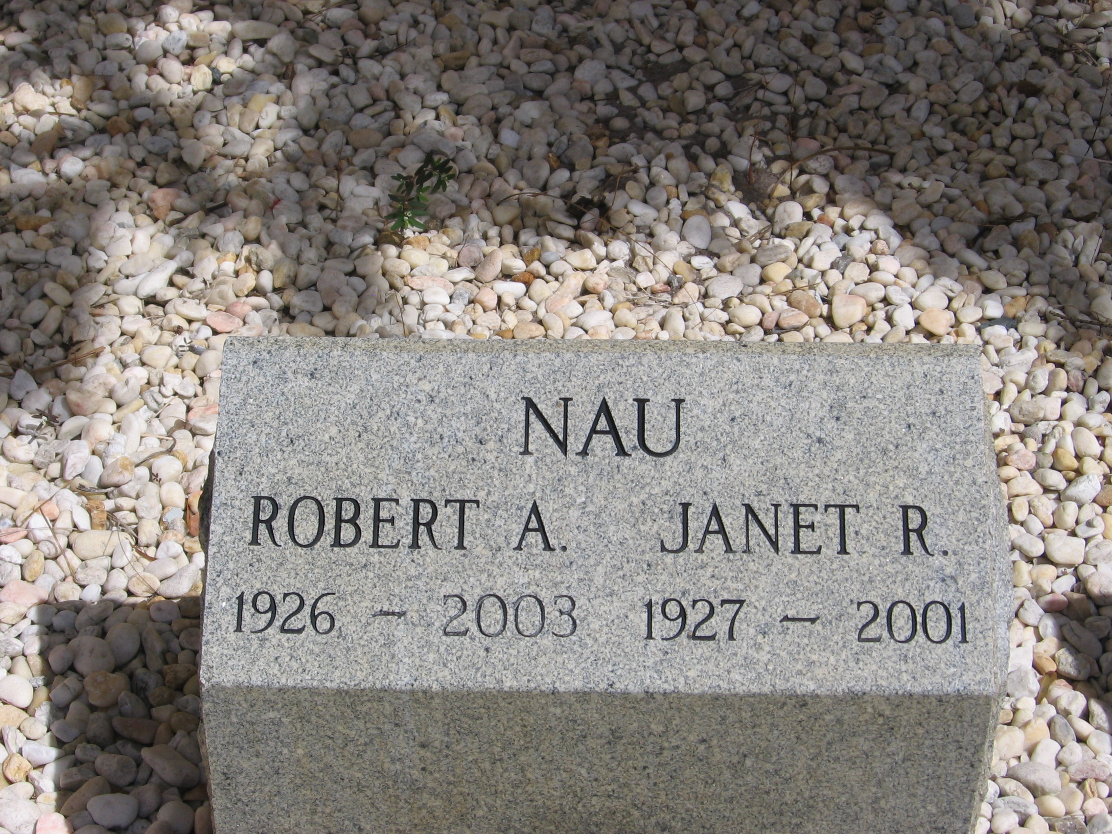 Janet R Nau