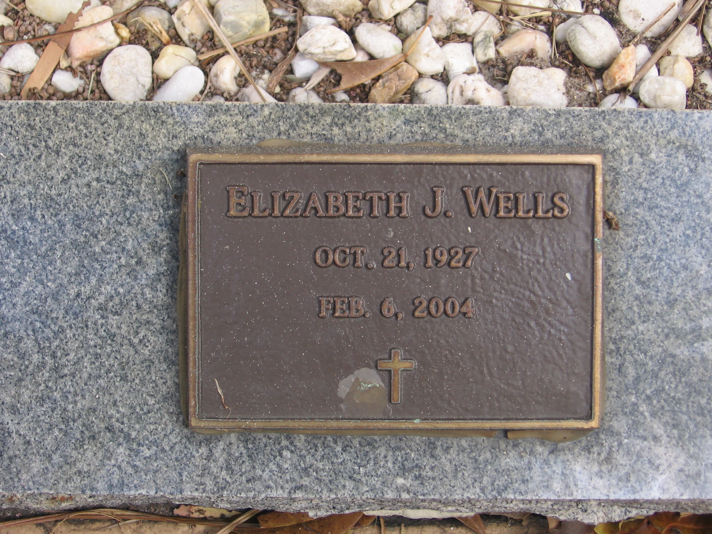 Elizabeth J Wells
