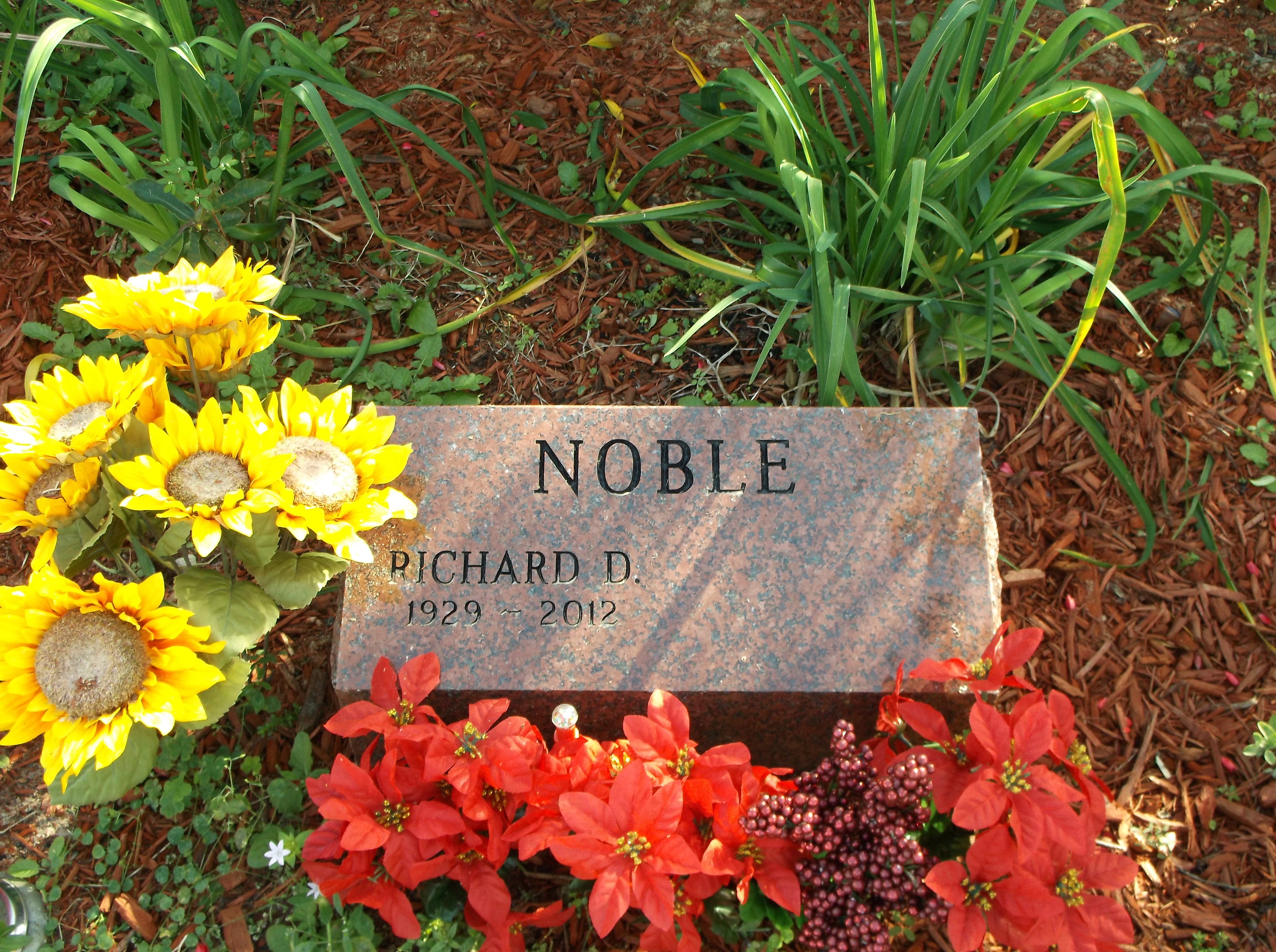 Richard D Noble