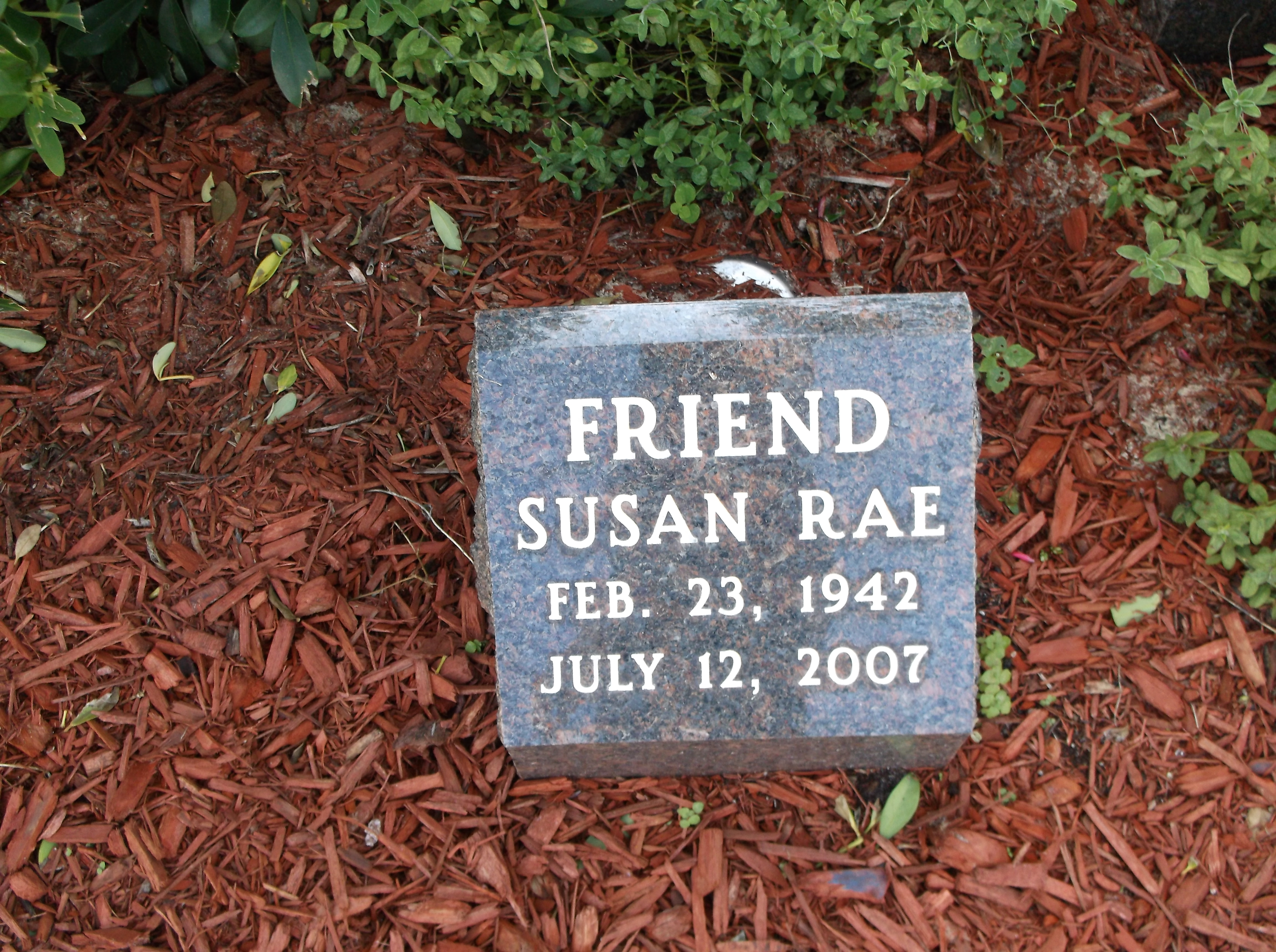 Susan Rae Friend