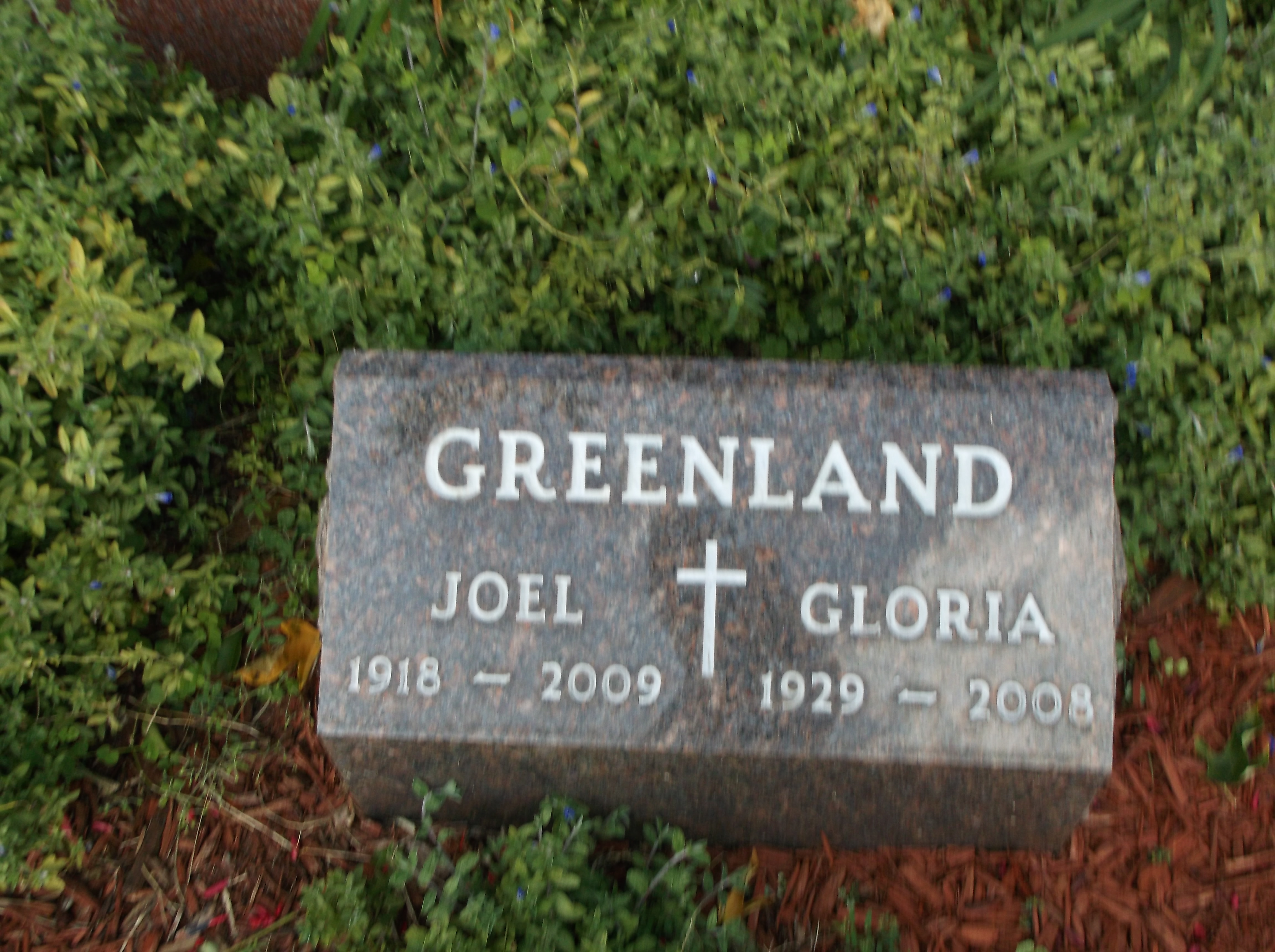 Gloria Greenland