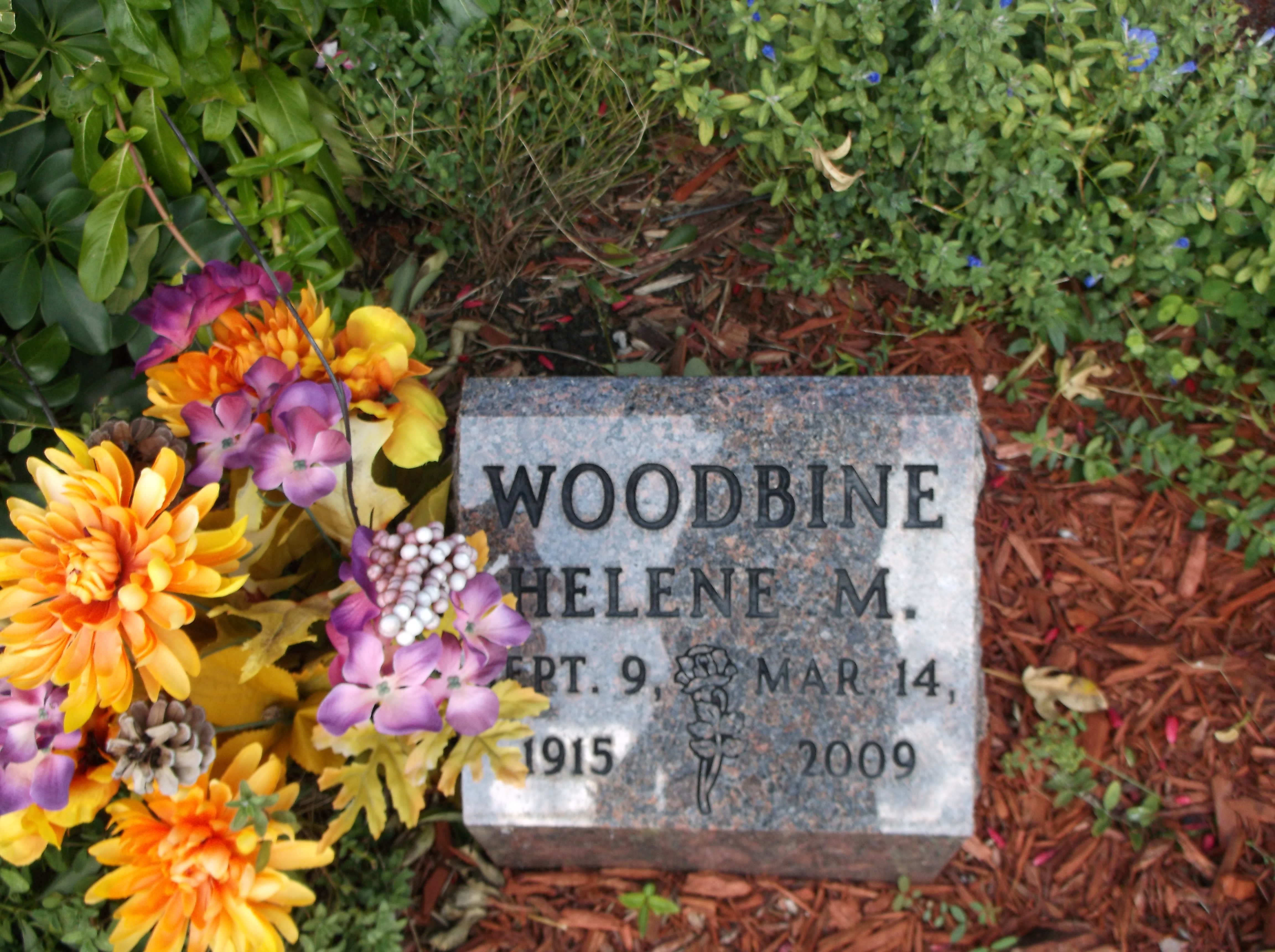 Helene M Woodbine