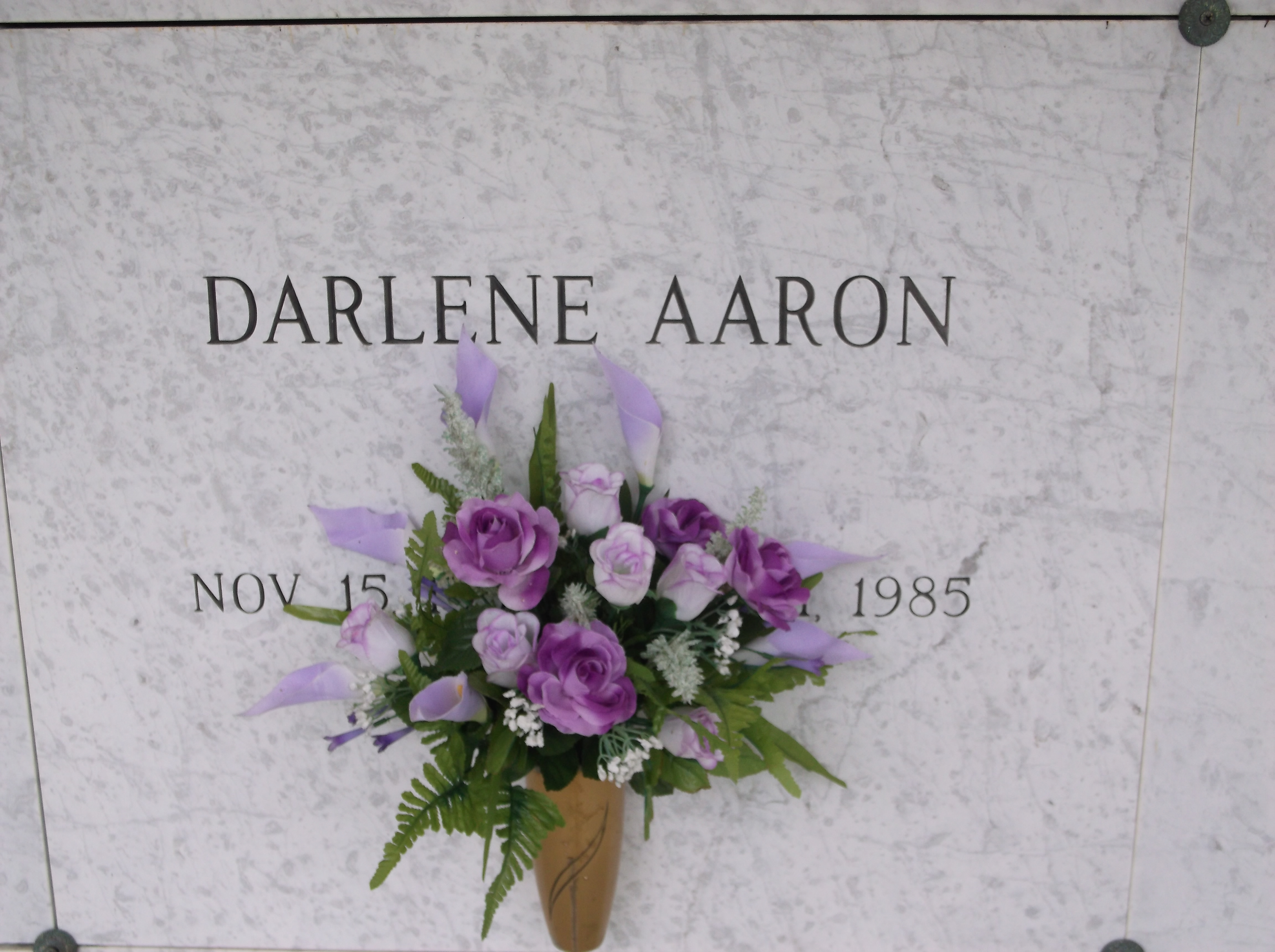 Darlene Aaron