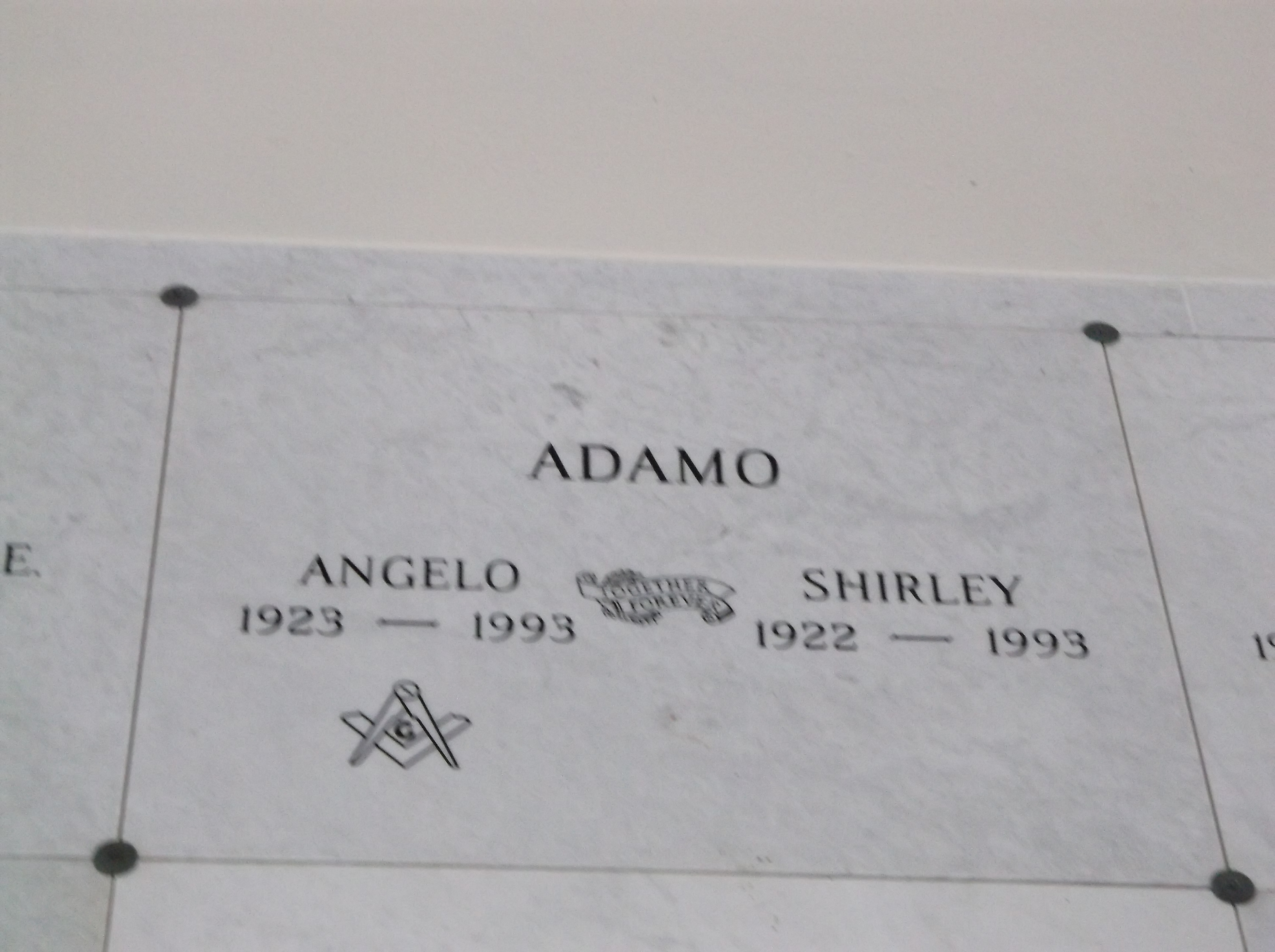 Angelo Adamo