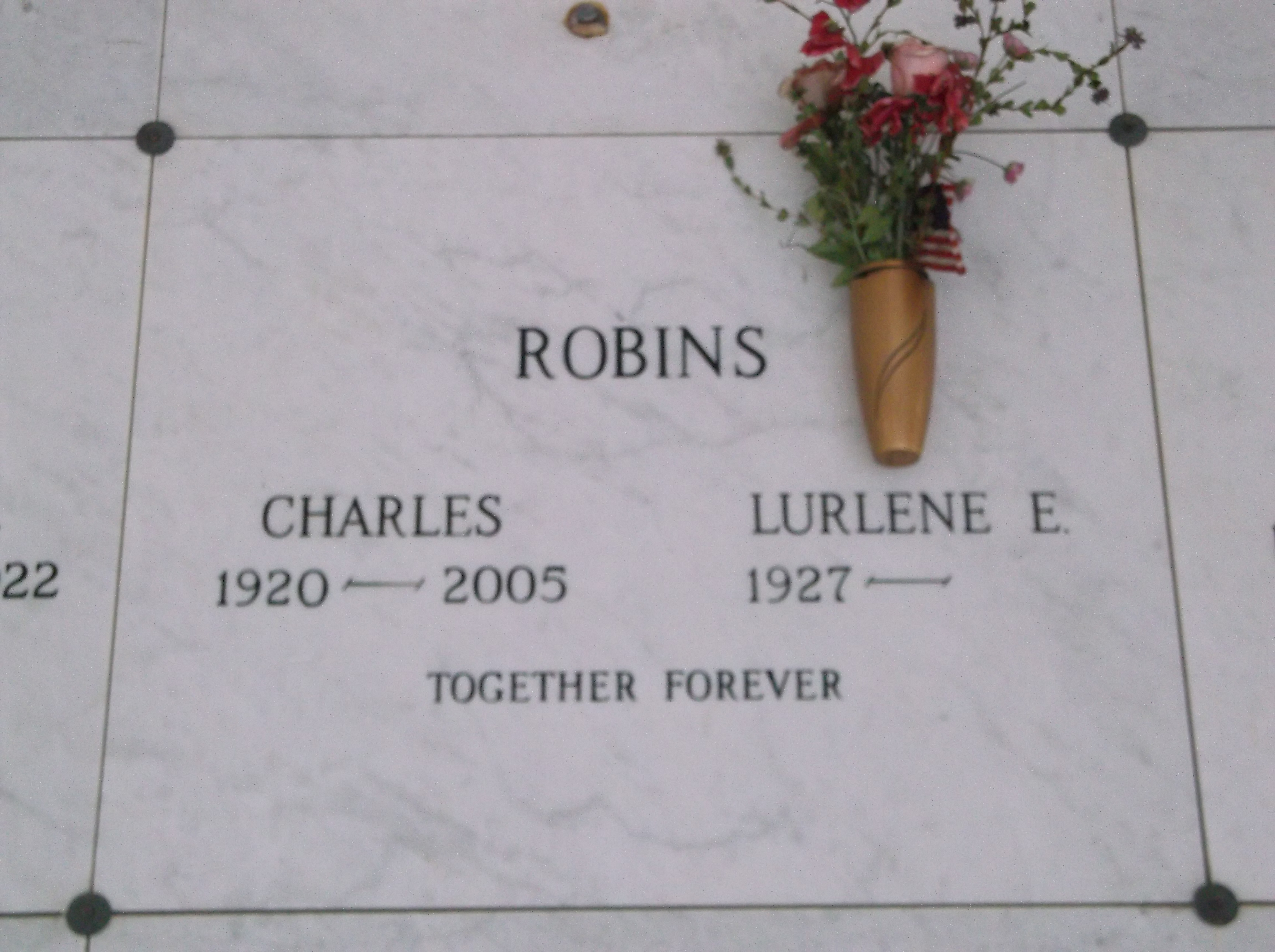 Lurlene E Robins