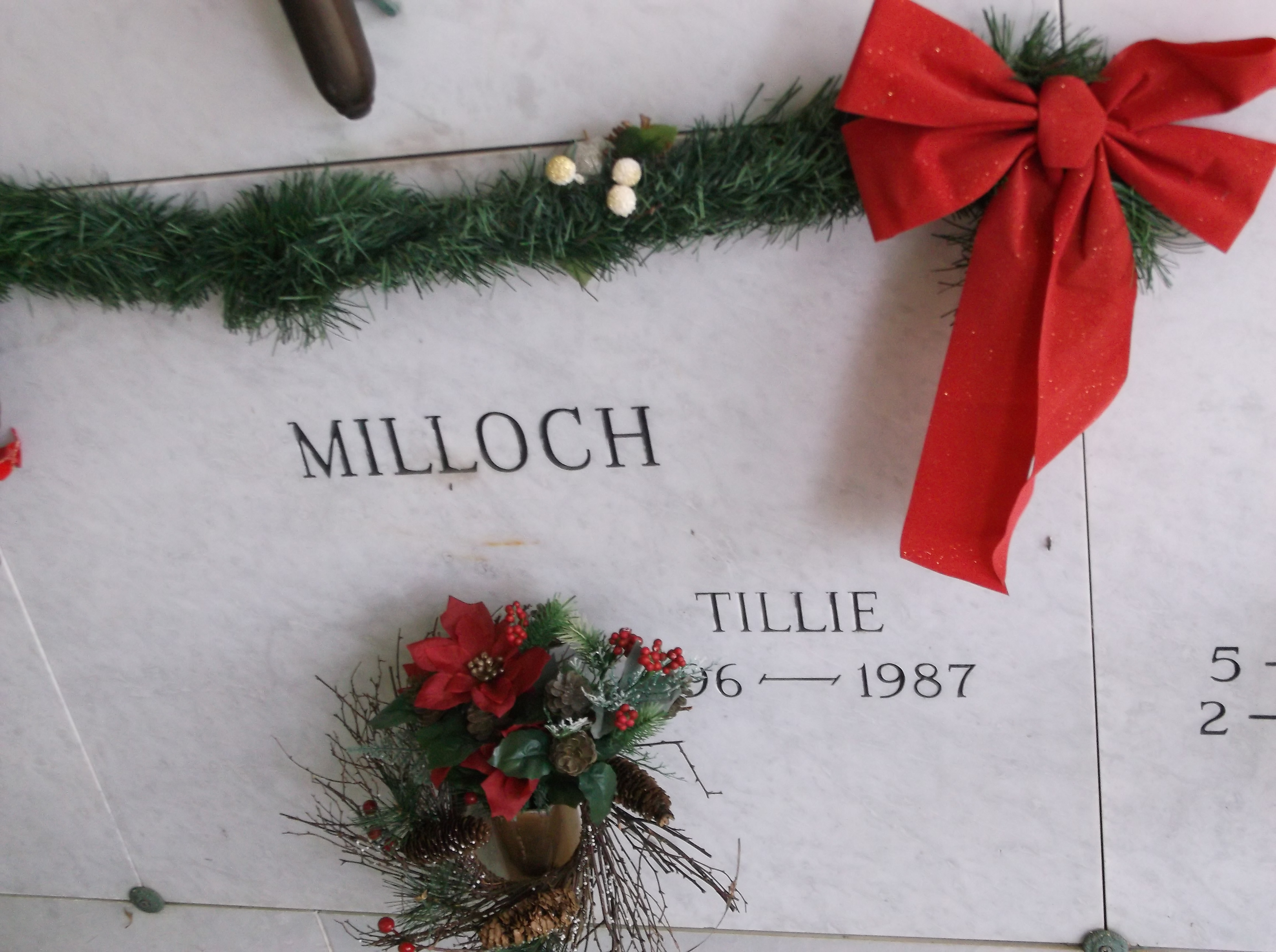 Tillie Milloch