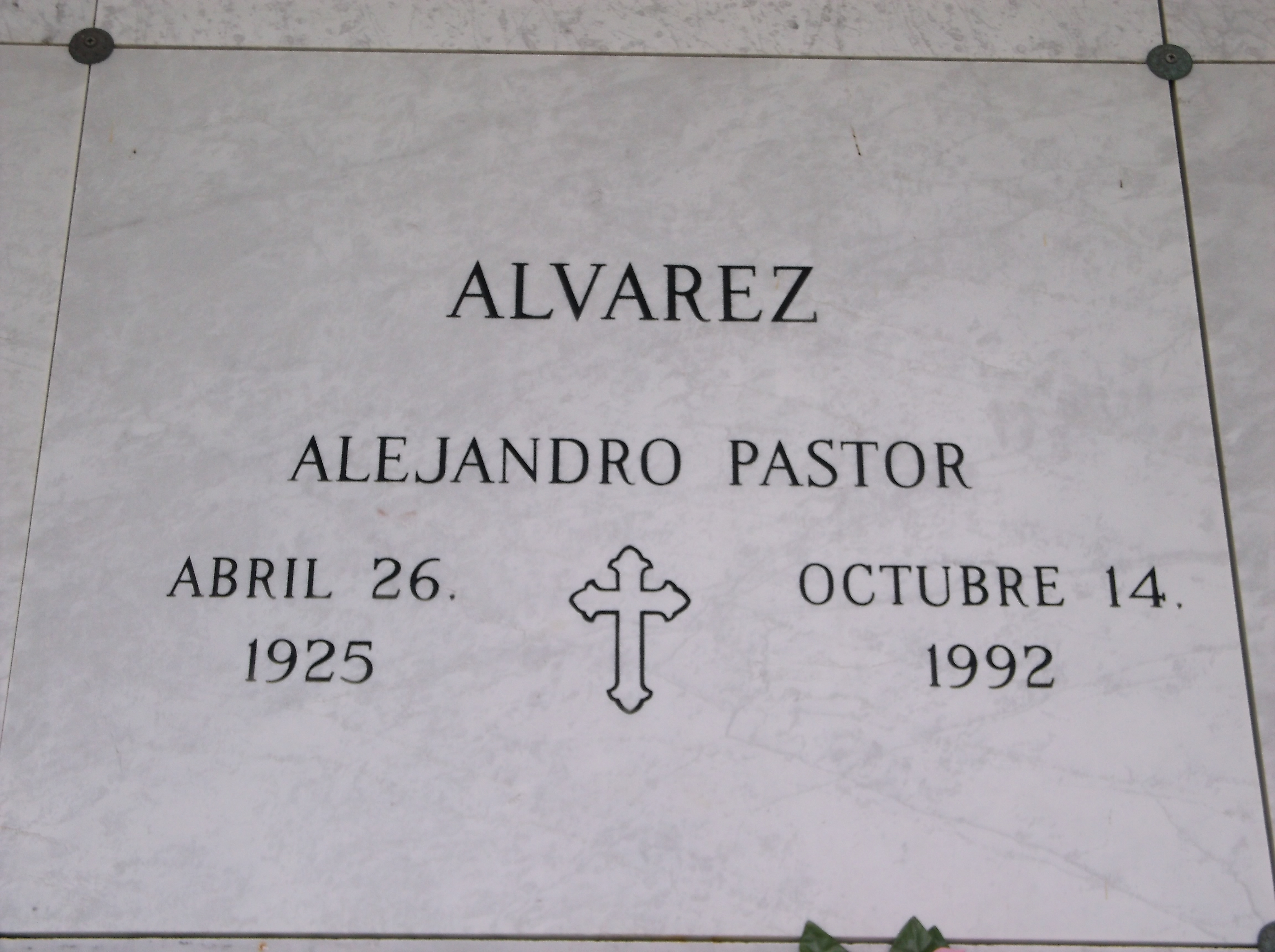 Alejandro Pastor Alvarez