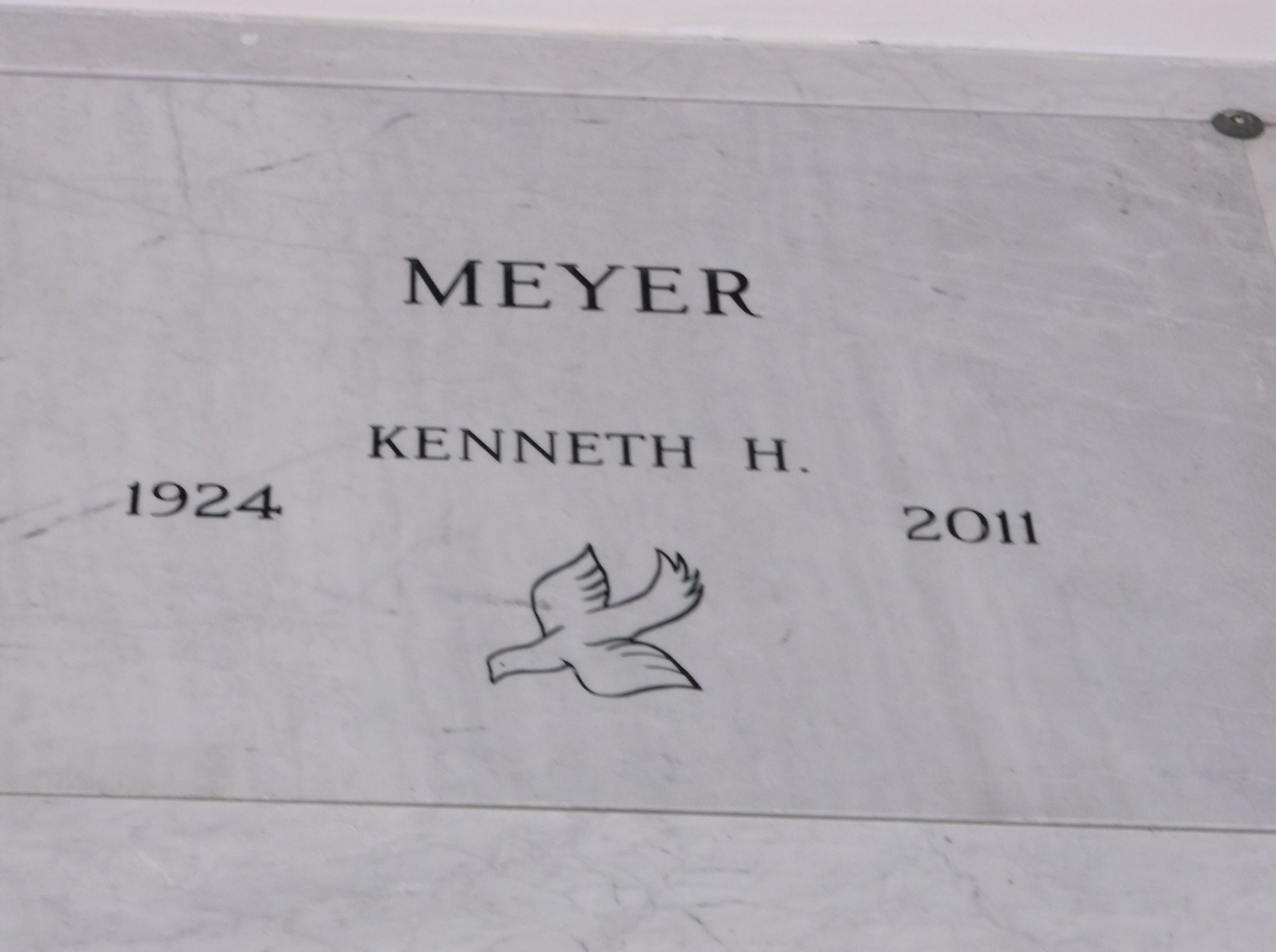 Kenneth H Meyer