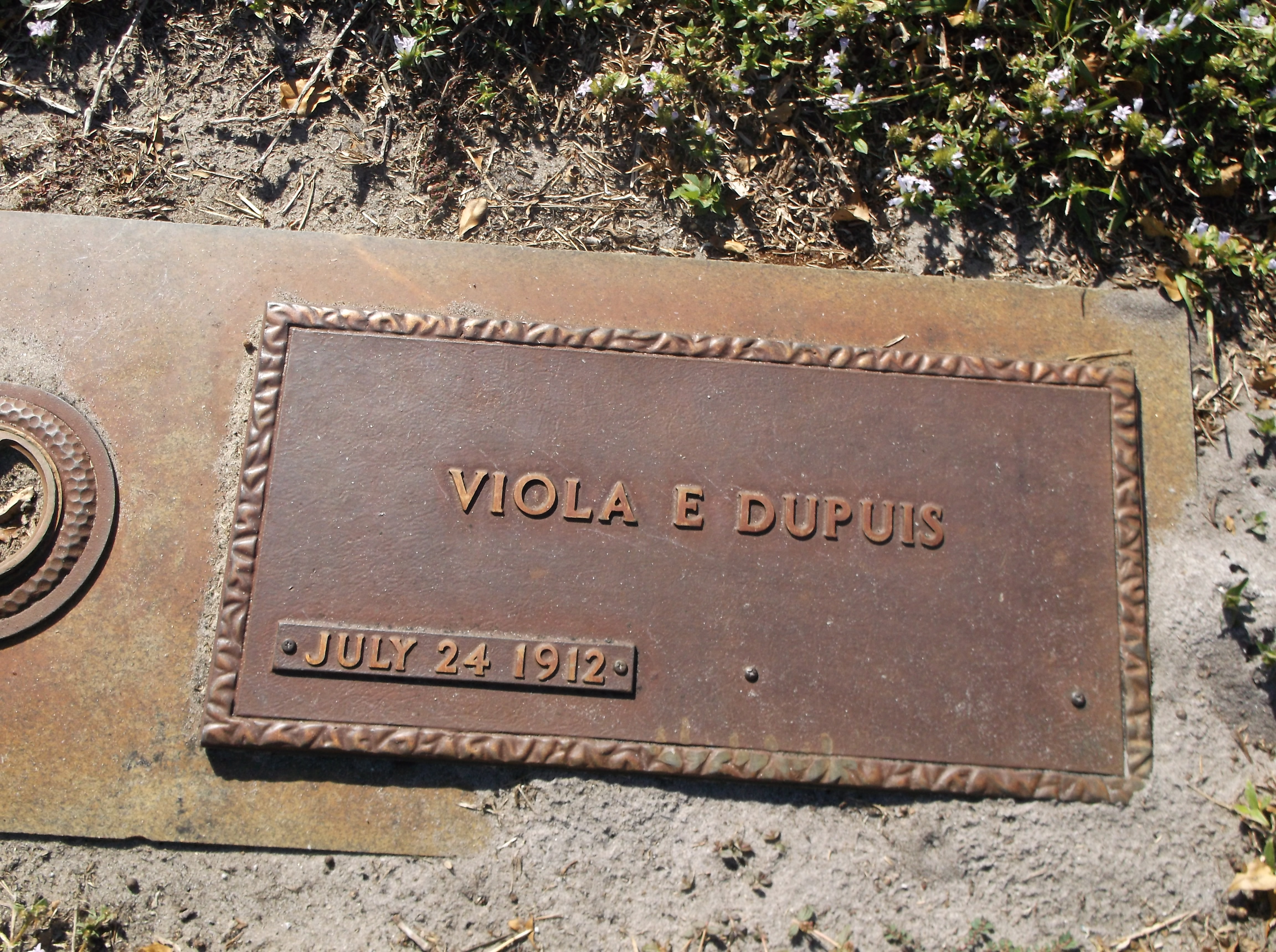 Viola E Dupuis