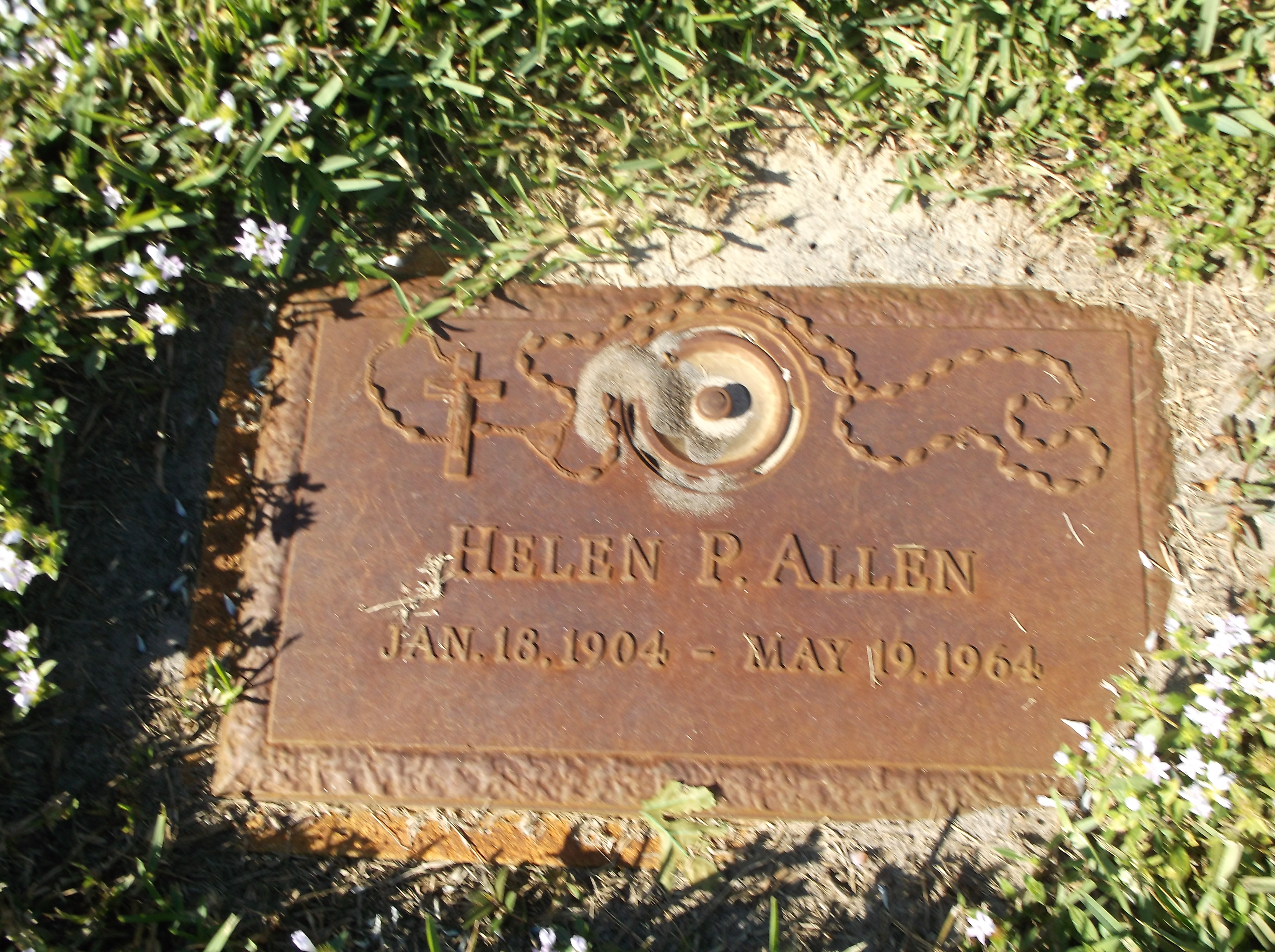 Helen P Allen