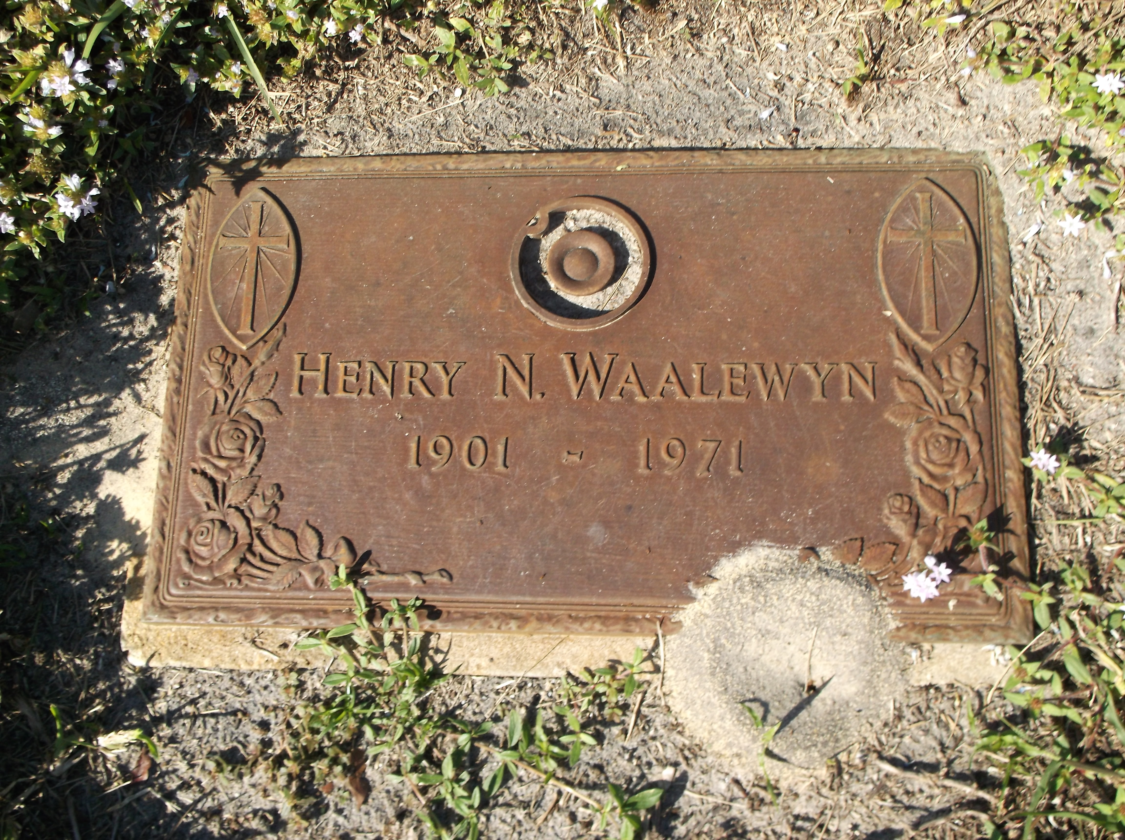 Henry N Waalewyn