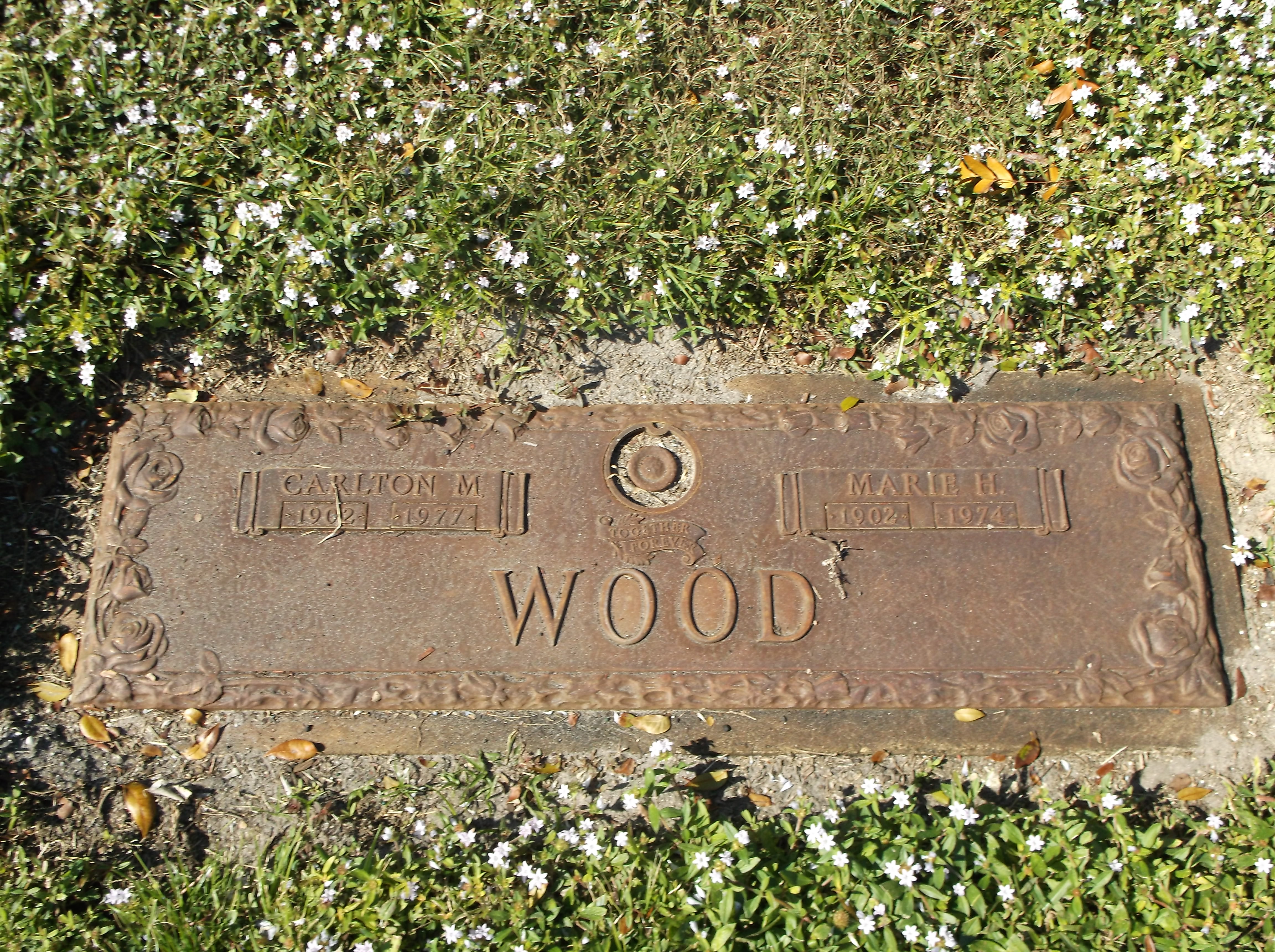 Carlton M Wood