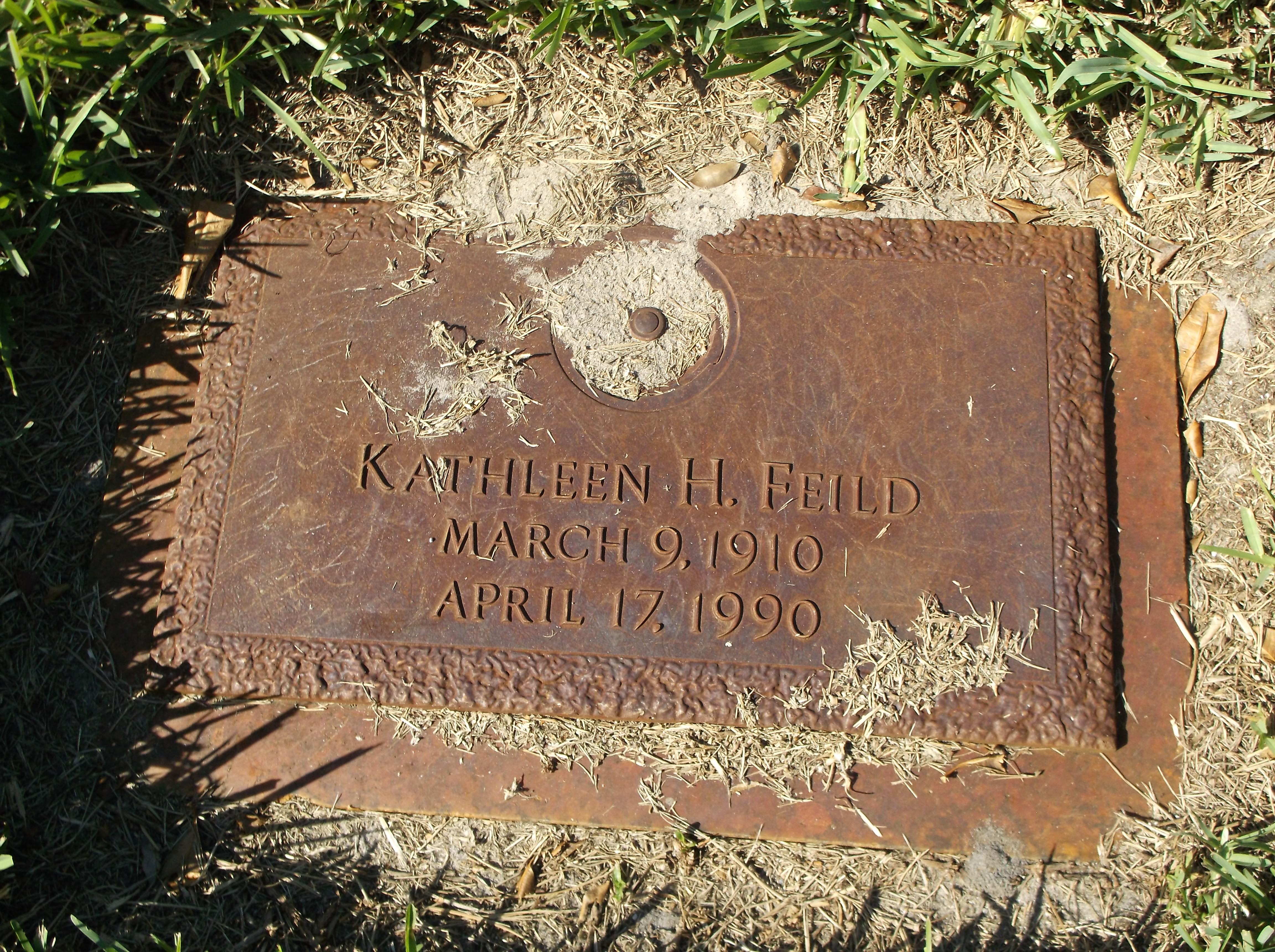 Kathleen H Feild