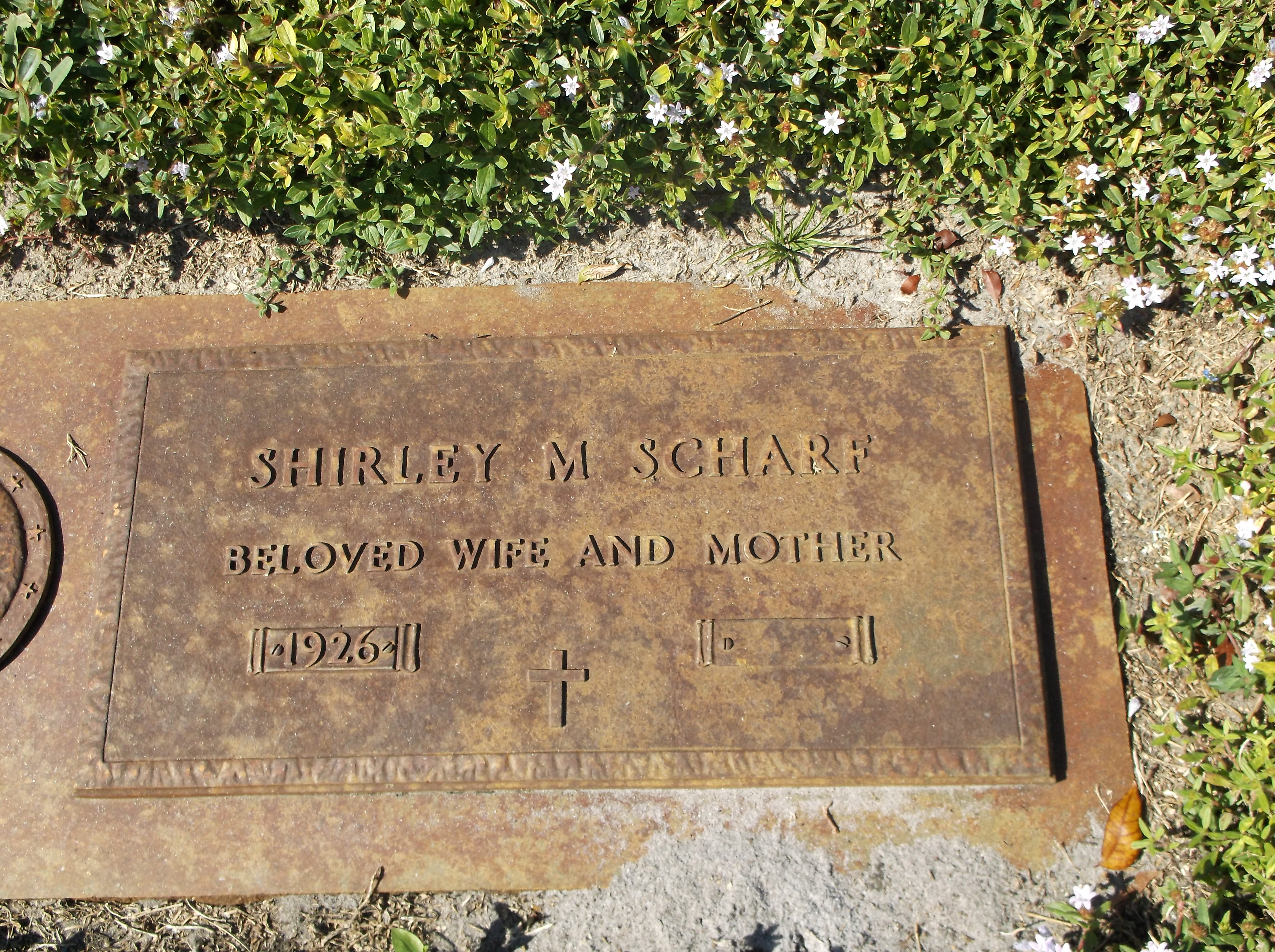 Shirley M Scharf