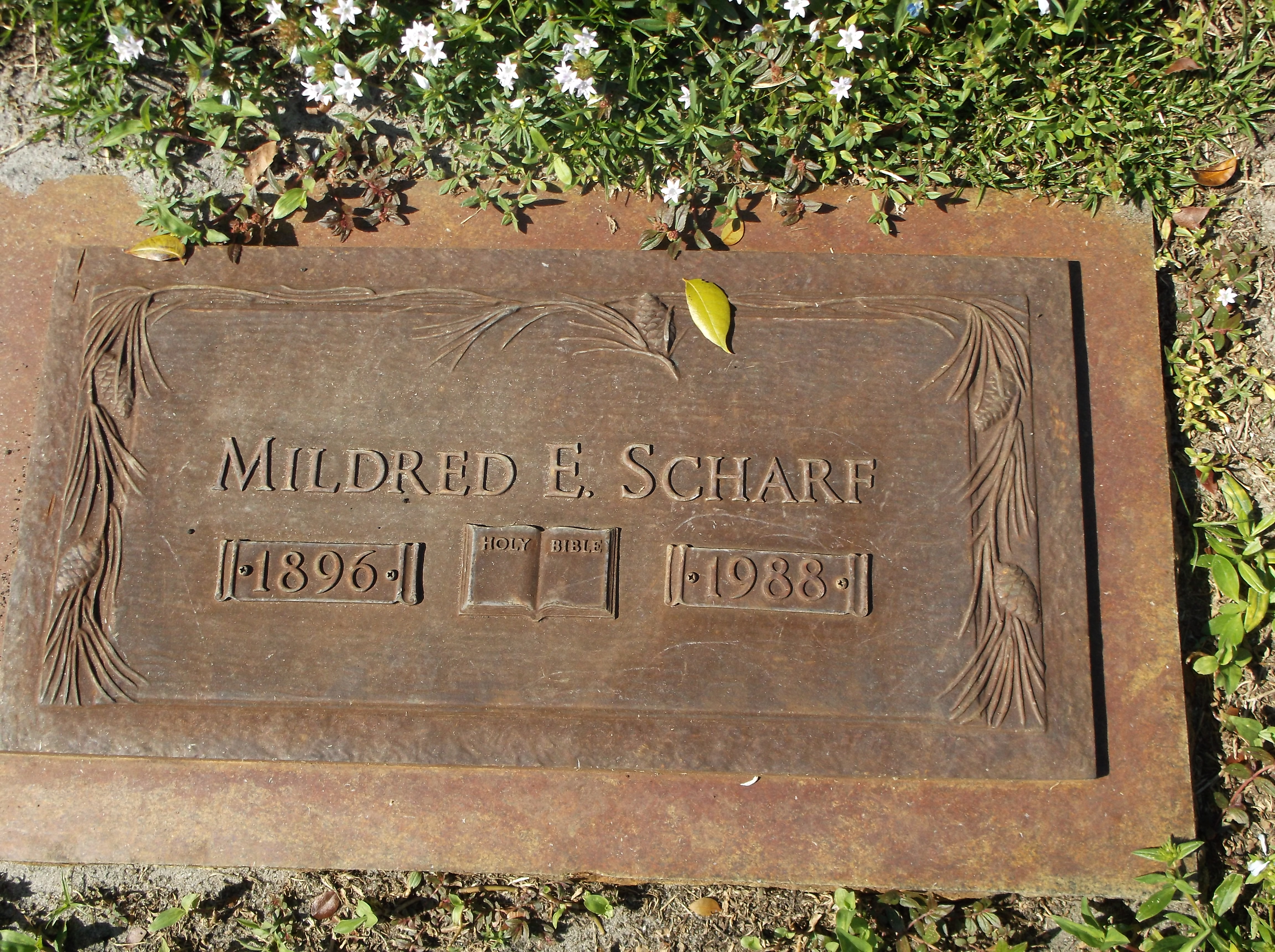 Mildred E Scharf