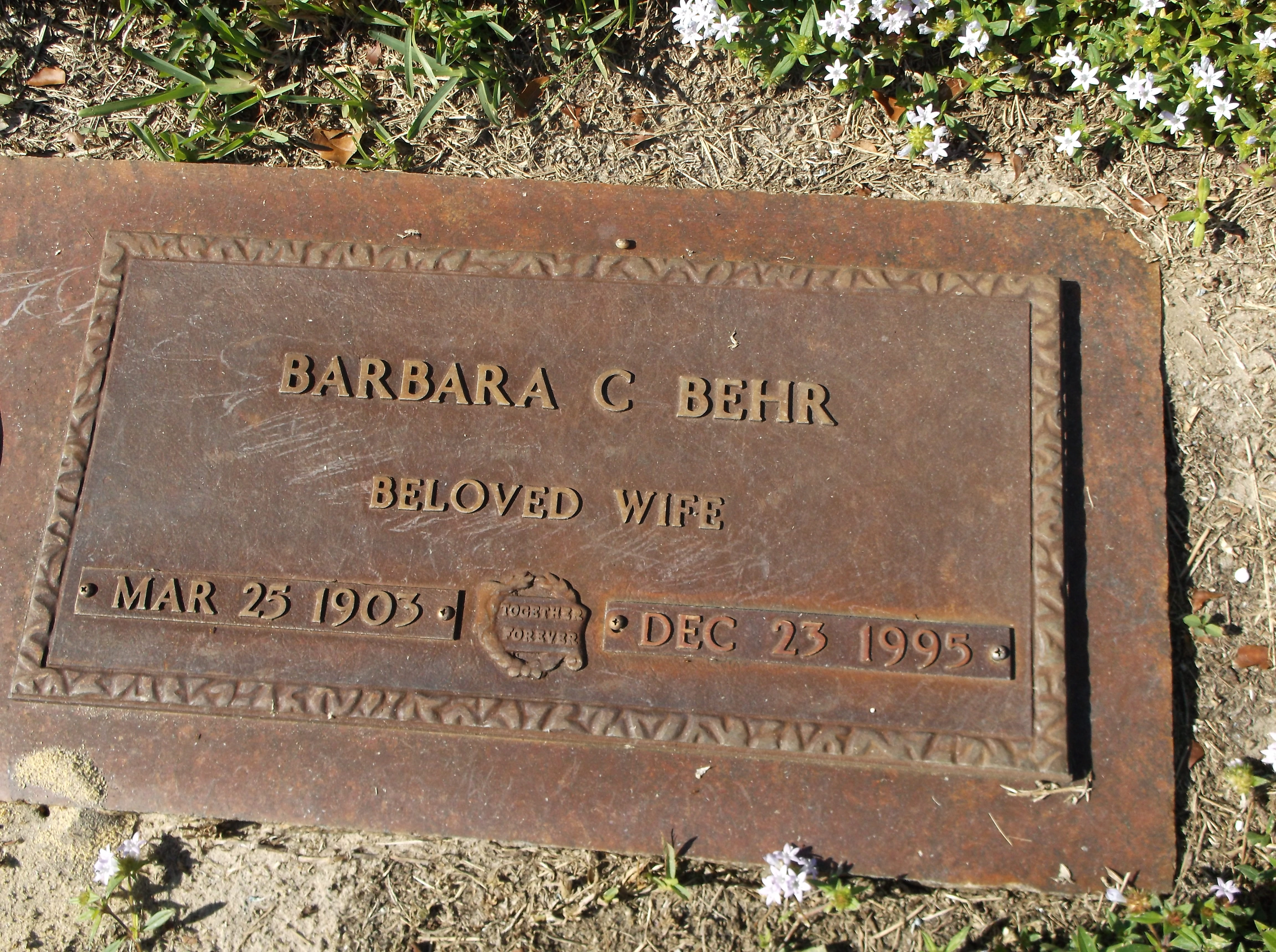 Barbara C Behr