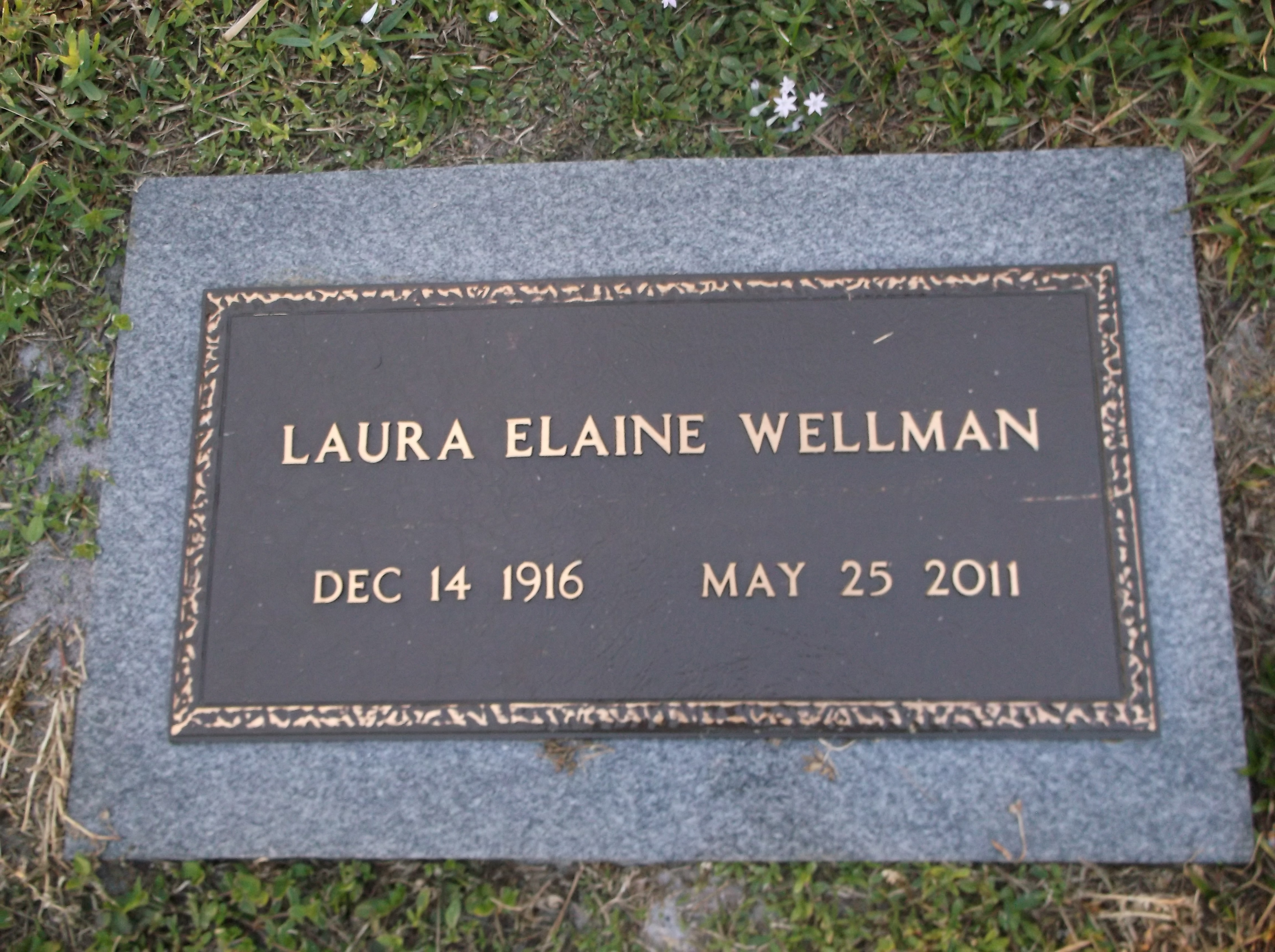 Laura Elaine Wellman