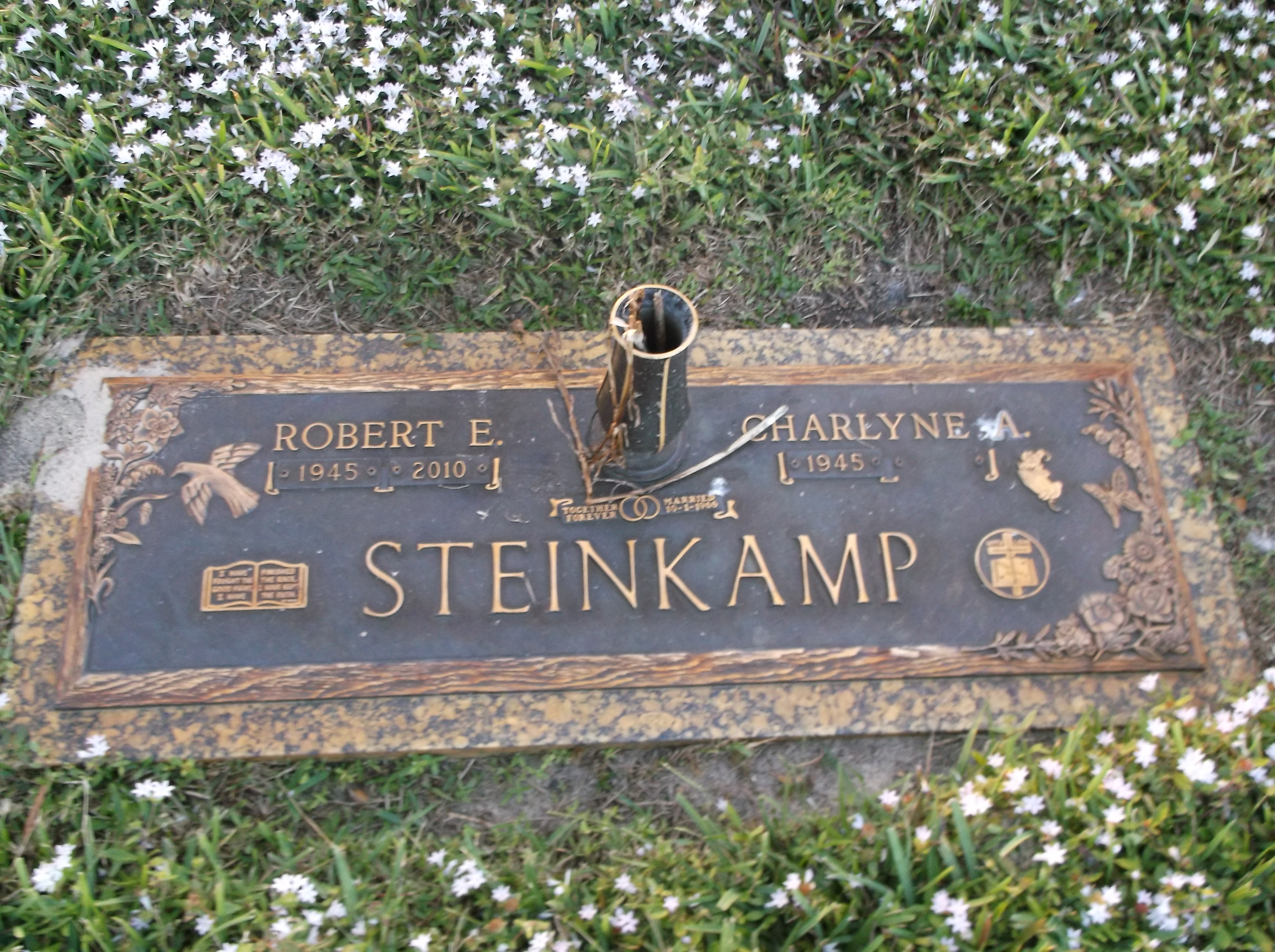 Robert E Steinkamp