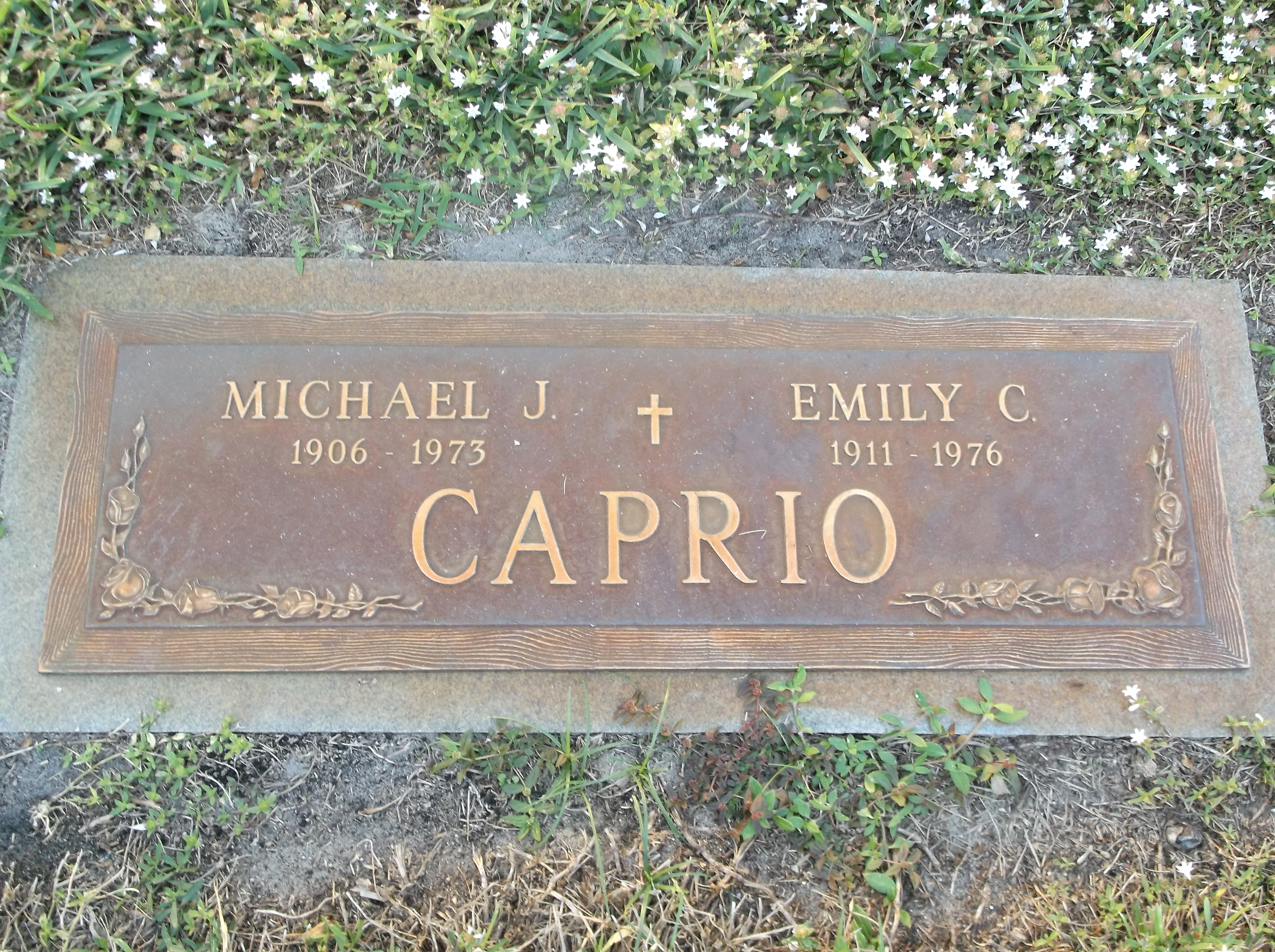 Michael J Caprio