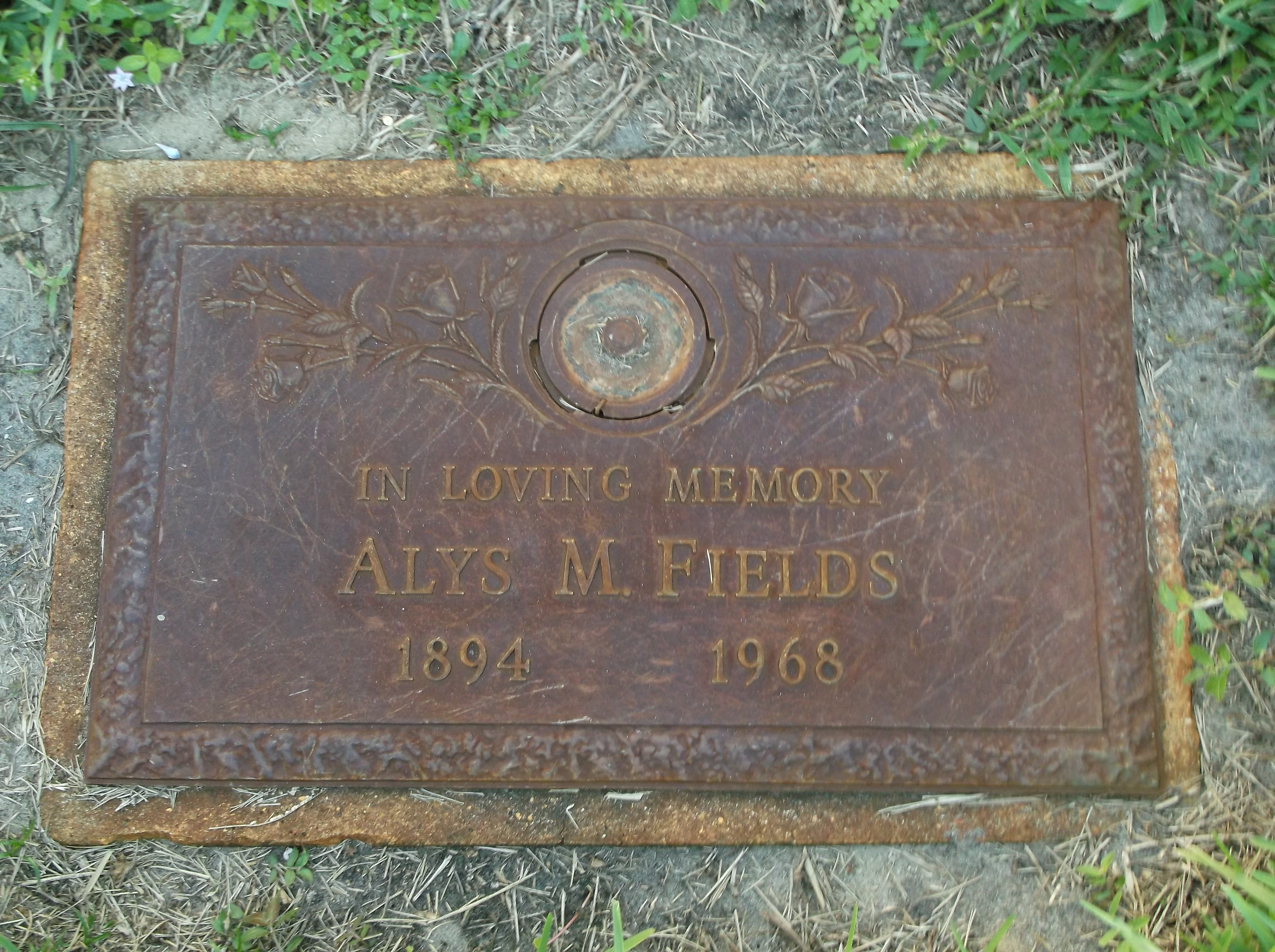 Alys M Fields
