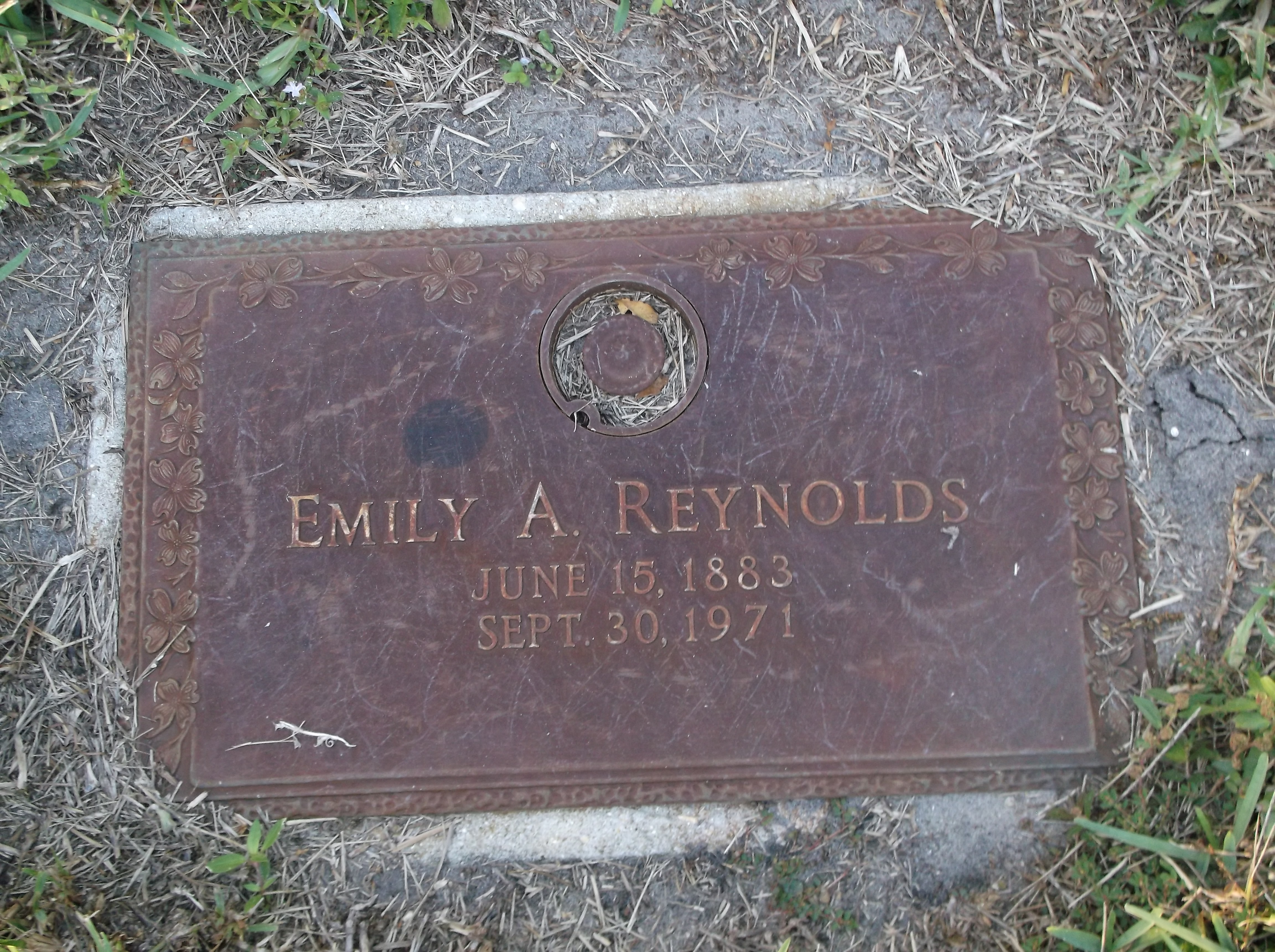 Emily A Reynolds