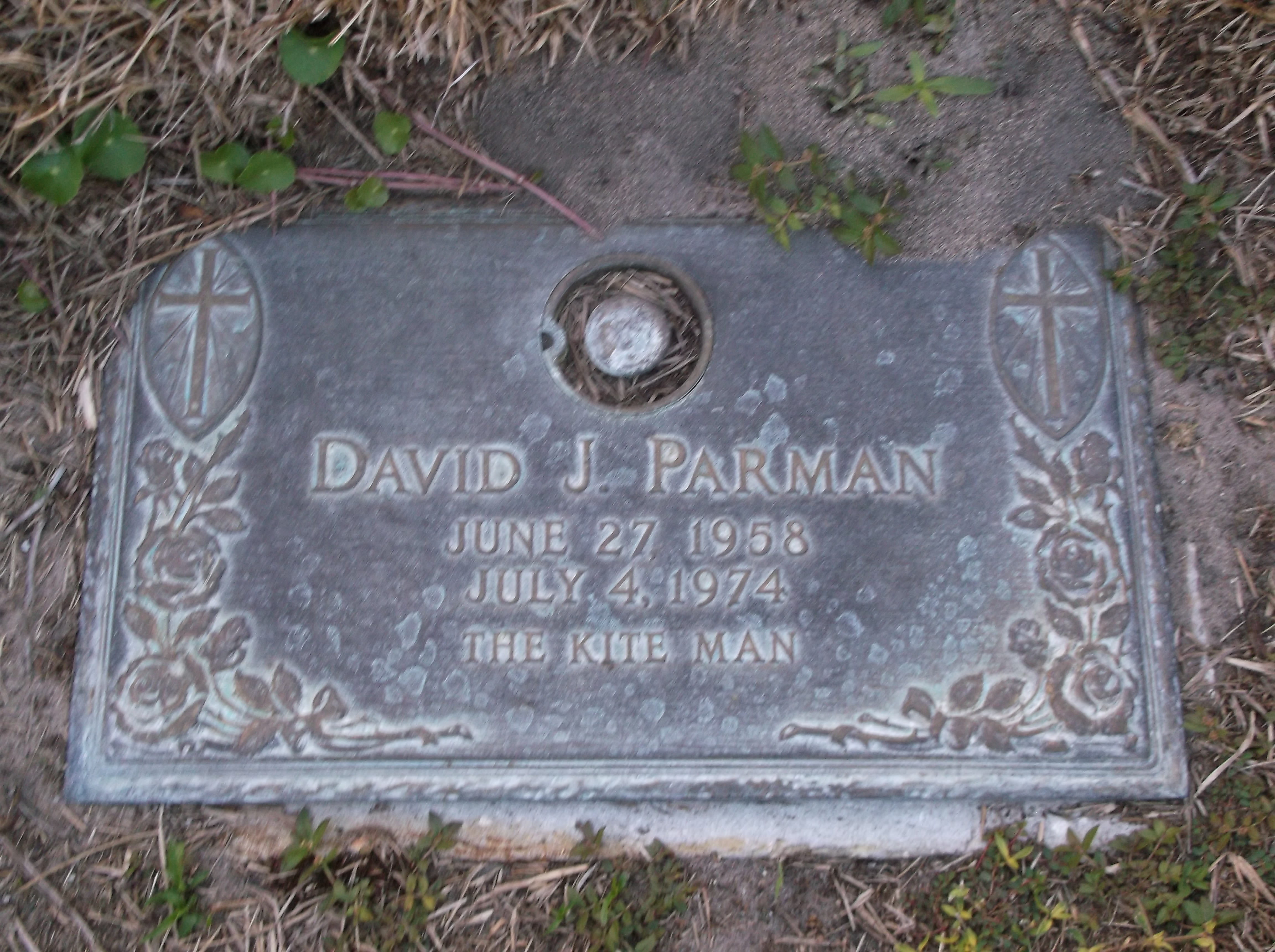 David J Parman