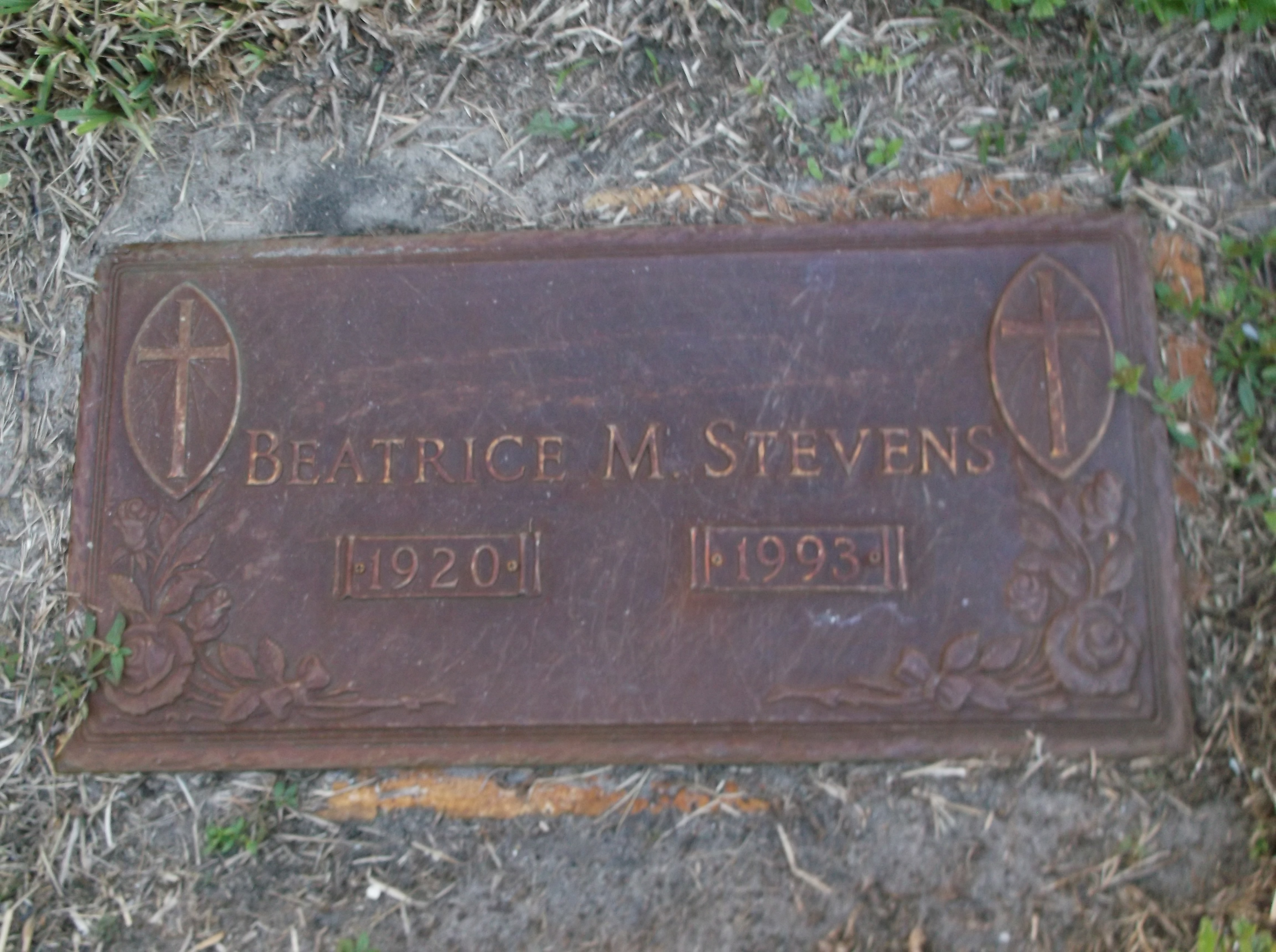 Beatrice M Stevens